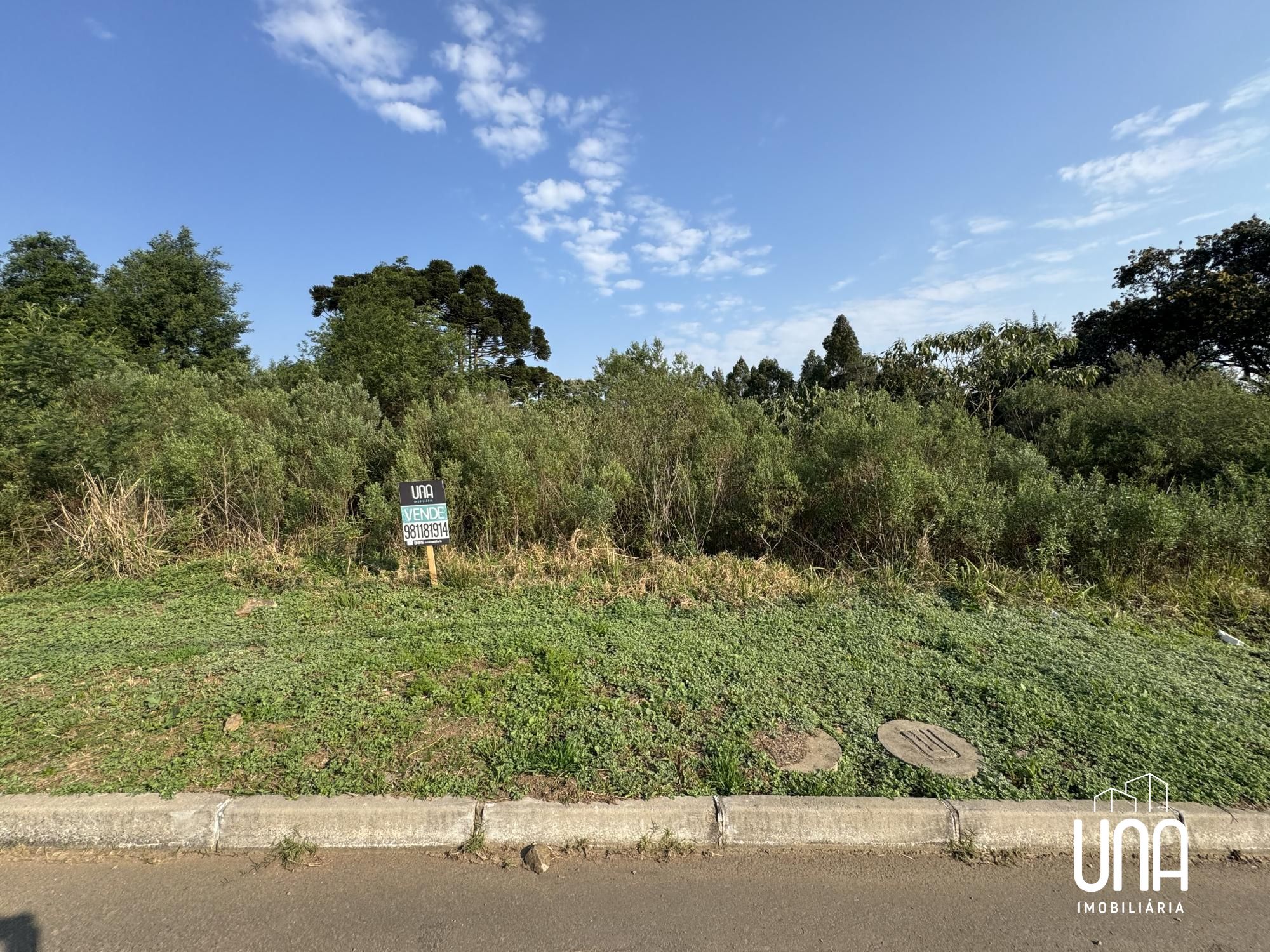 Terreno, 546 m² - Foto 3