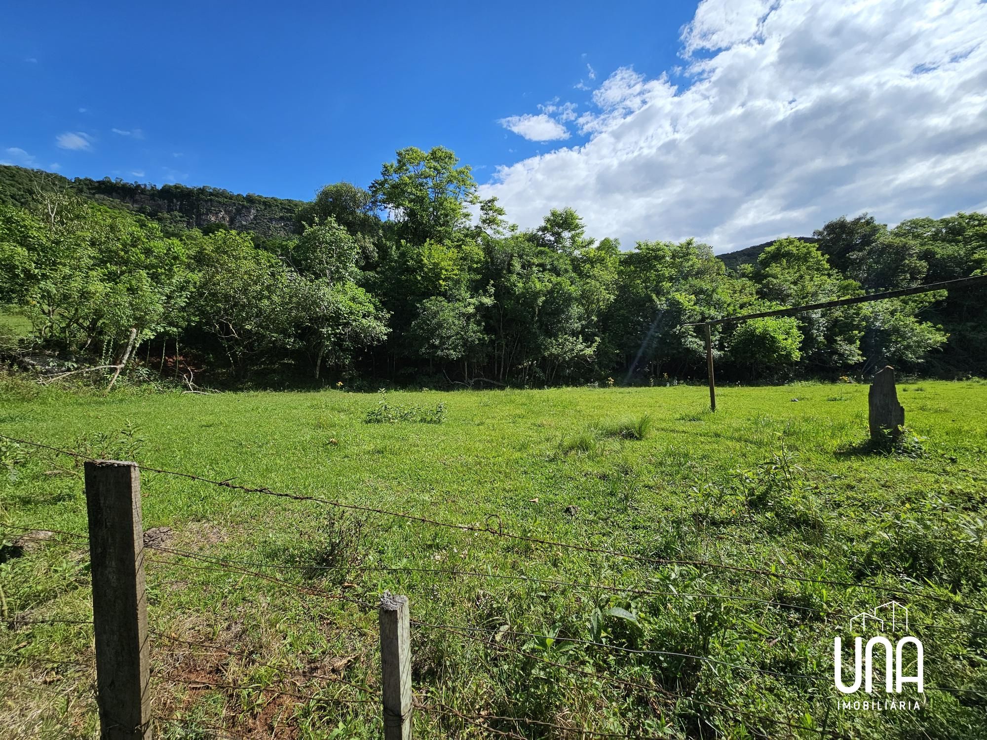 Chácara, 21 hectares - Foto 10
