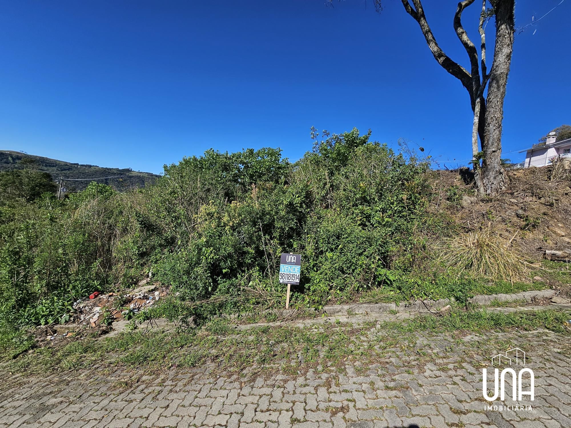 Terreno, 209 m² - Foto 1