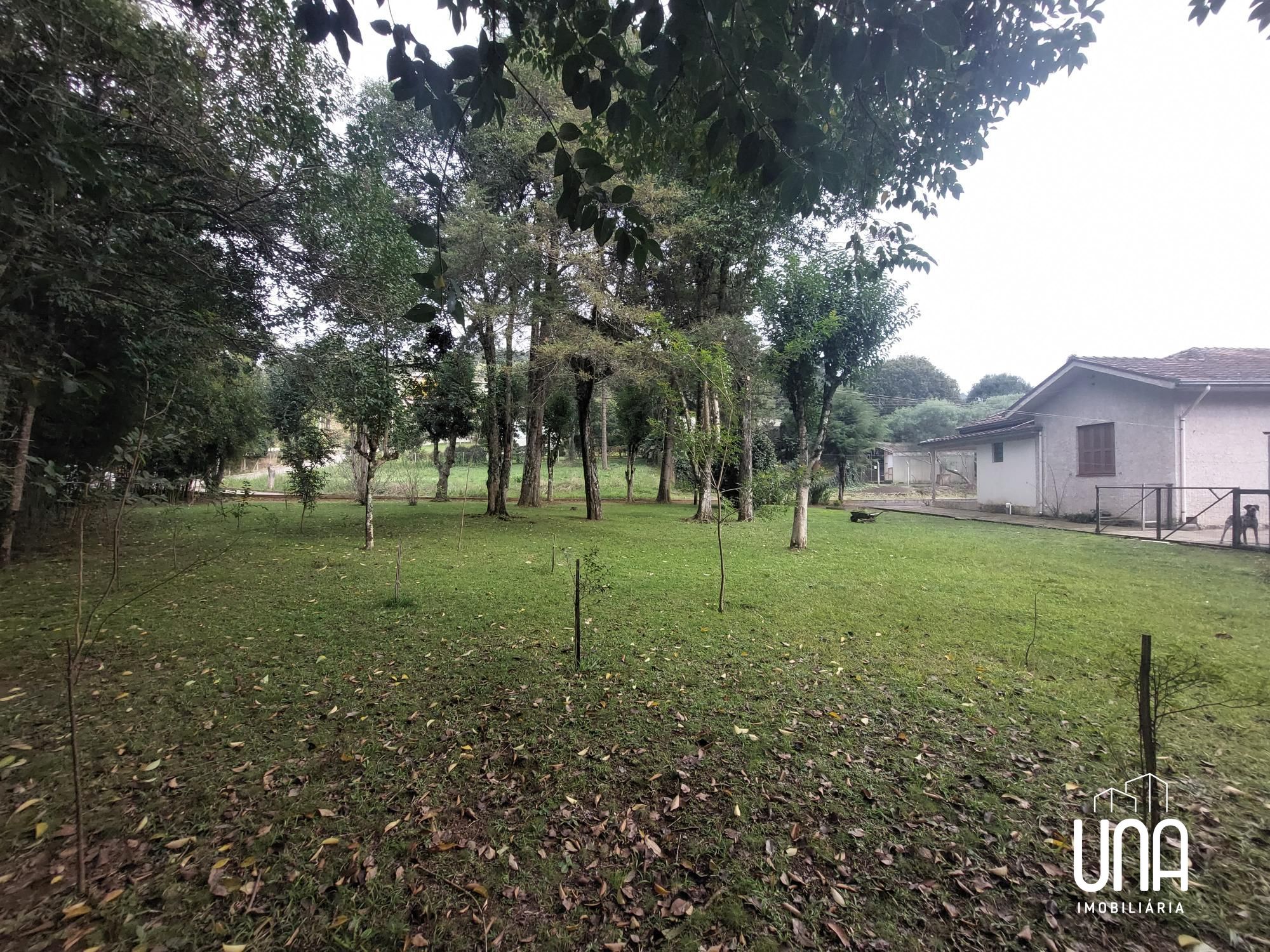 Chácara, 4 quartos, 2365 m² - Foto 8