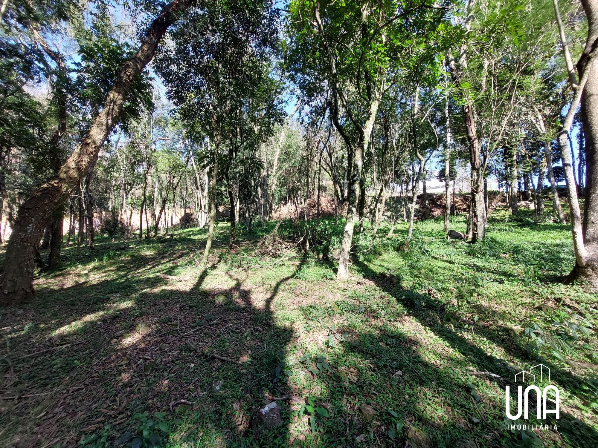 Terreno, 2071 m² - Foto 3