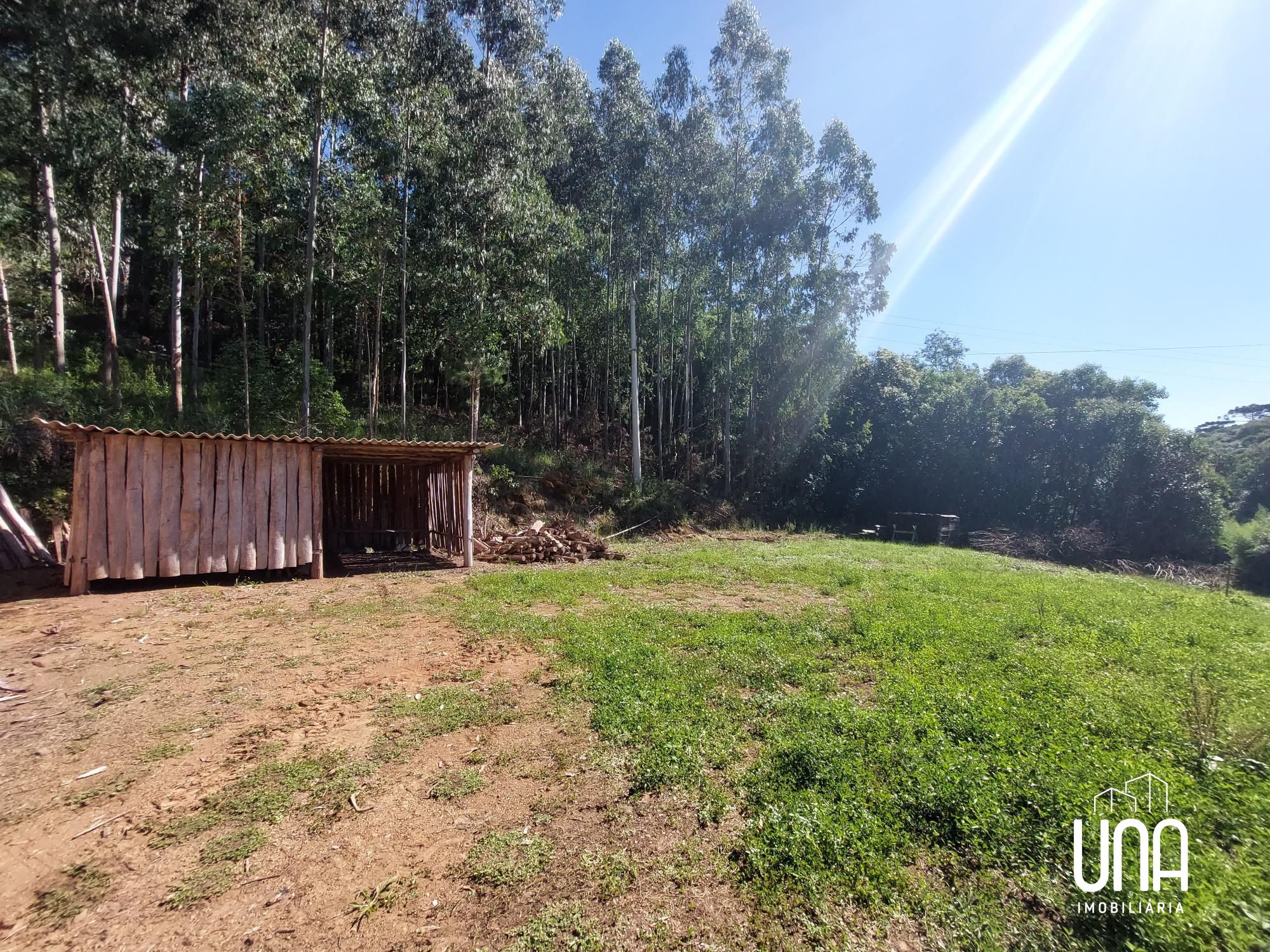 Chácara, 4 hectares - Foto 2