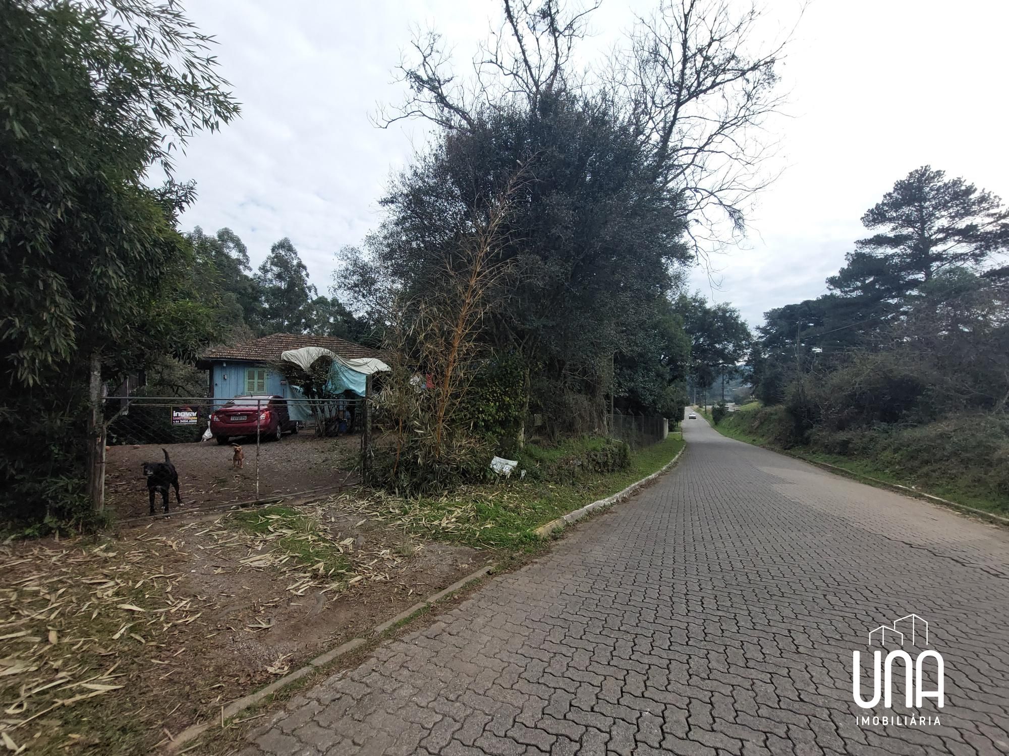 Terreno, 1200 m² - Foto 3