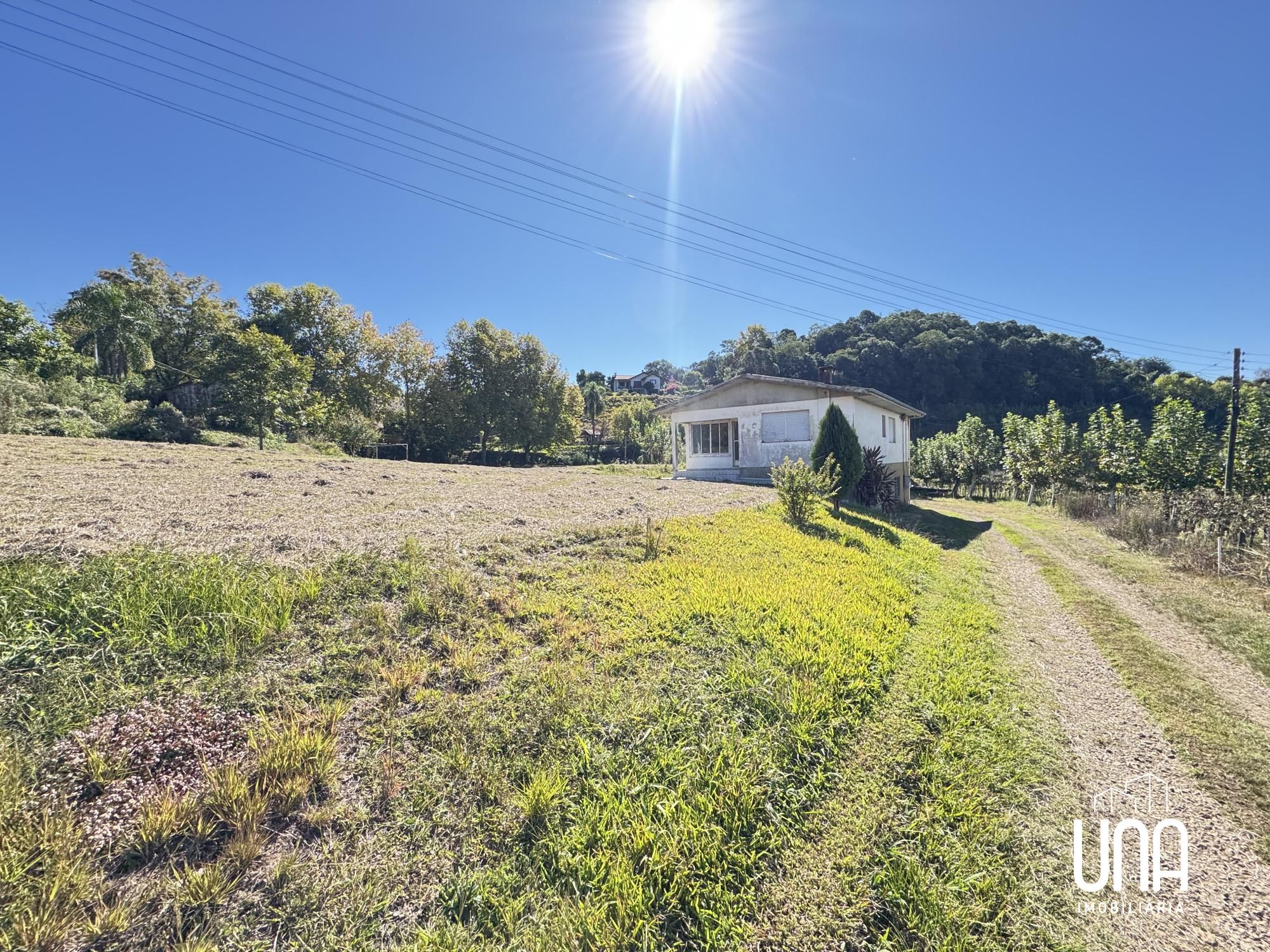 Chácara, 8 hectares - Foto 11