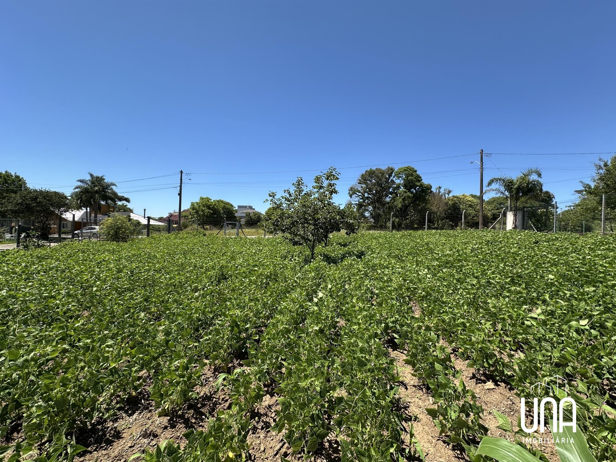 Terreno, 528 m² - Foto 4