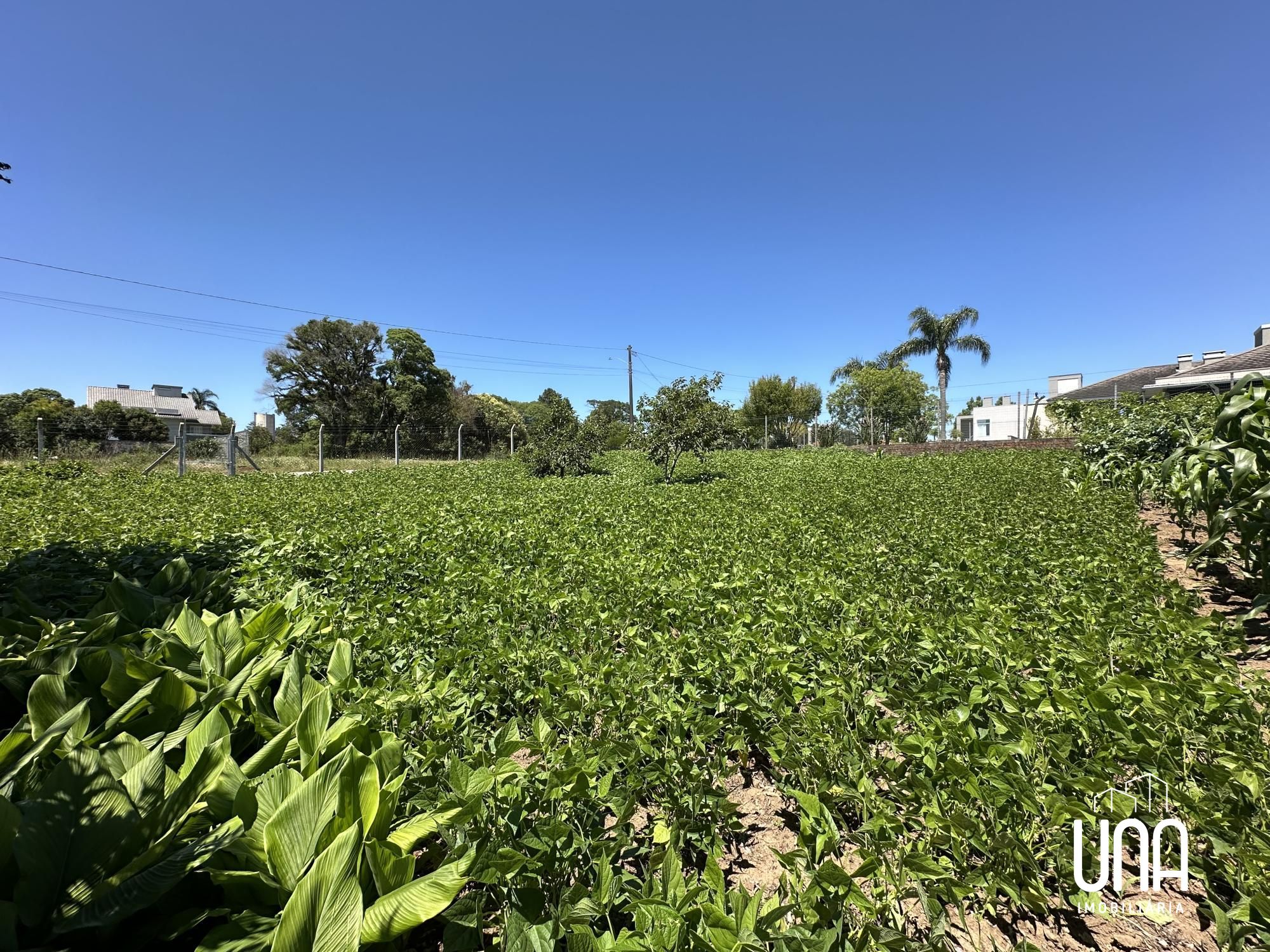 Terreno, 528 m² - Foto 4