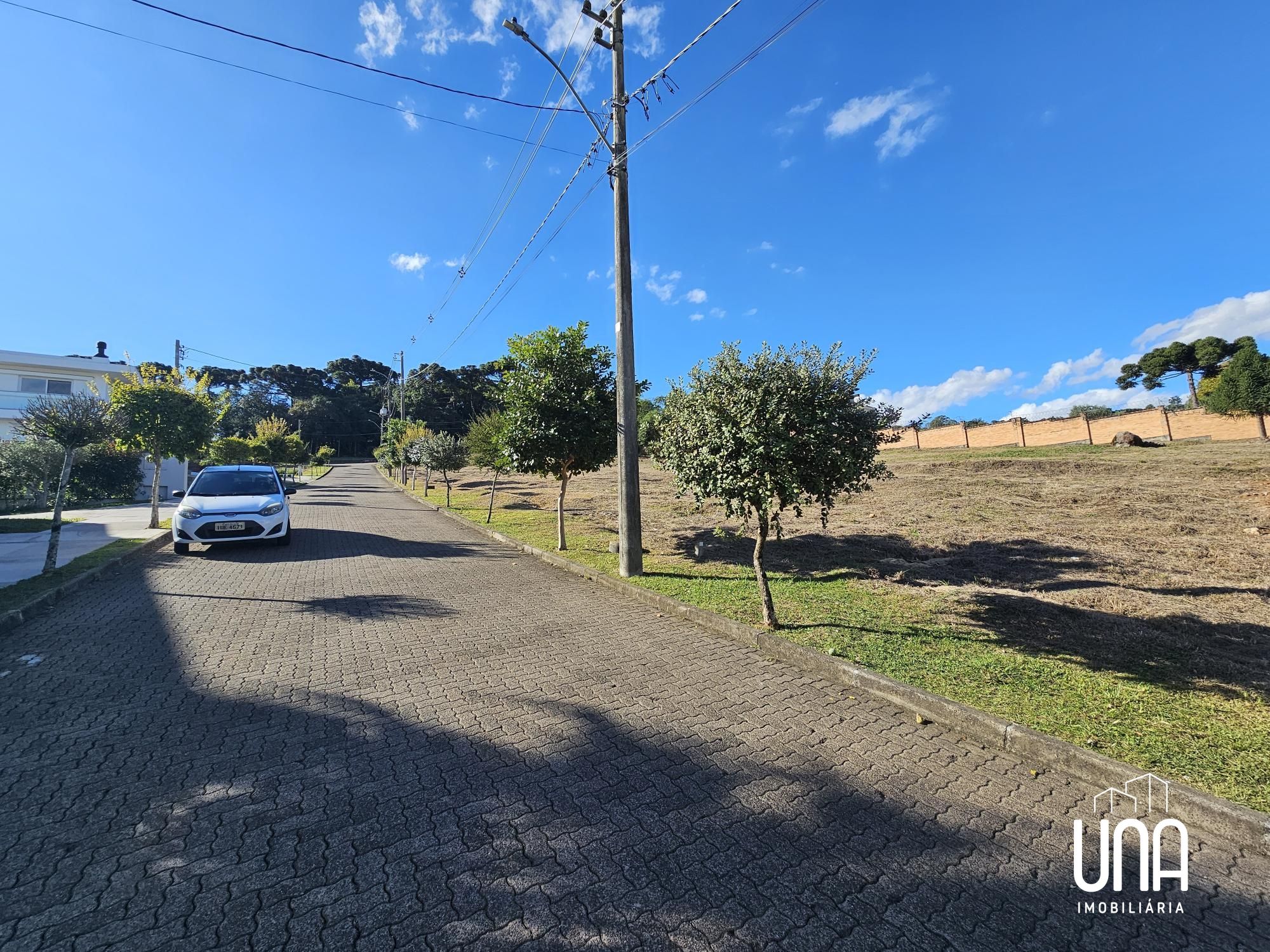 Terreno, 1955 m² - Foto 3