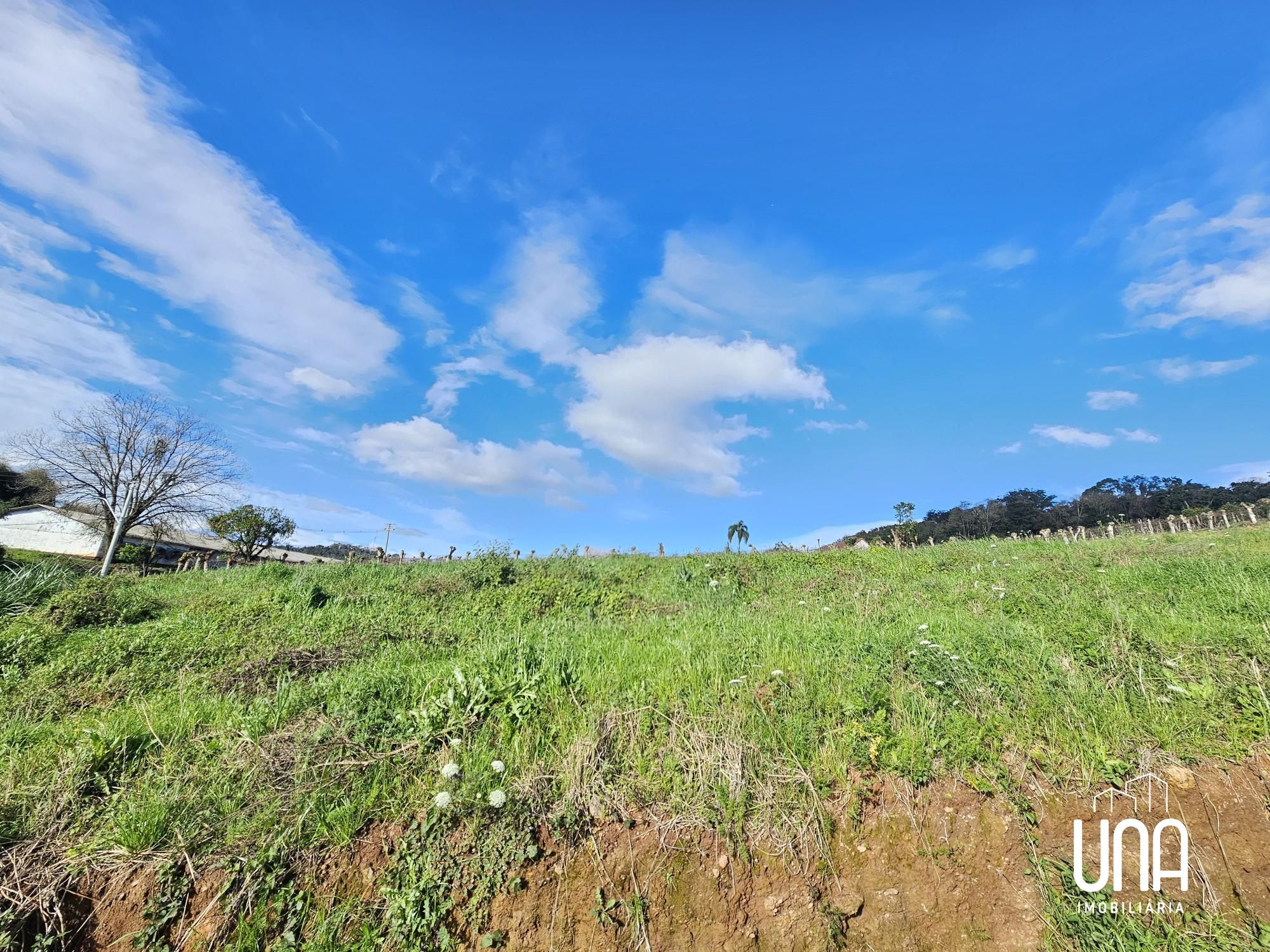 Terreno, 1000 m² - Foto 5