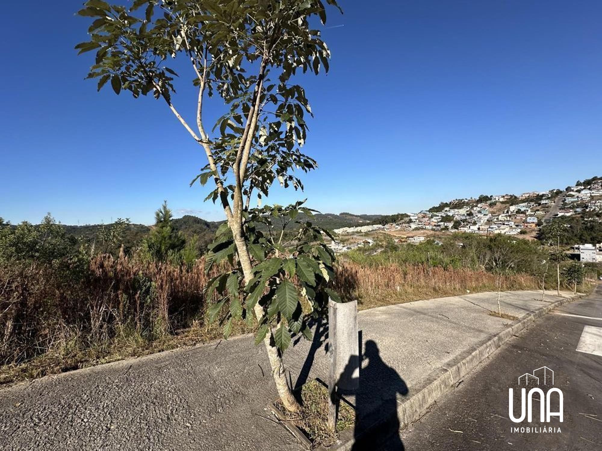 Terreno, 282 m² - Foto 3