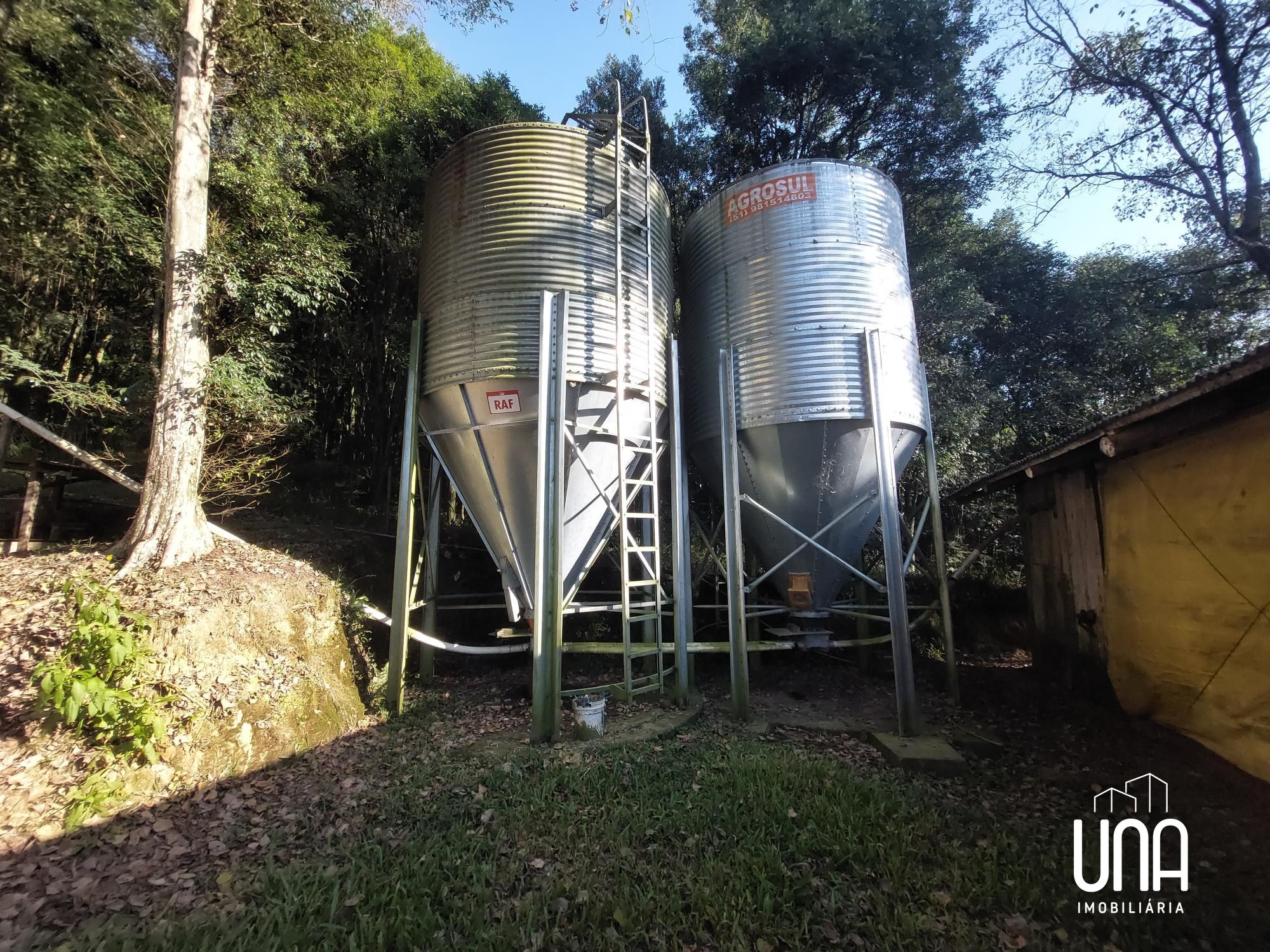 Chácara, 4 hectares - Foto 12