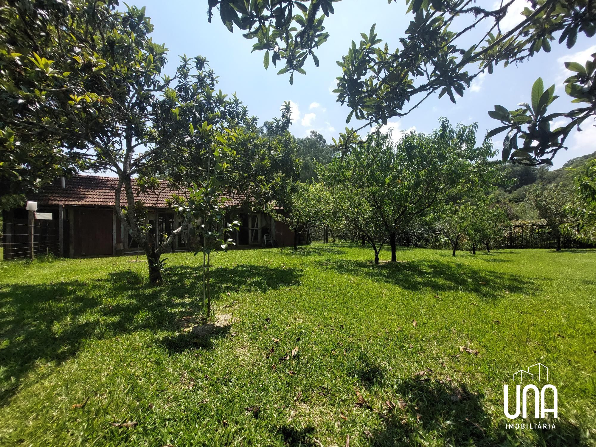 Chácara, 2 quartos, 2 hectares - Foto 17