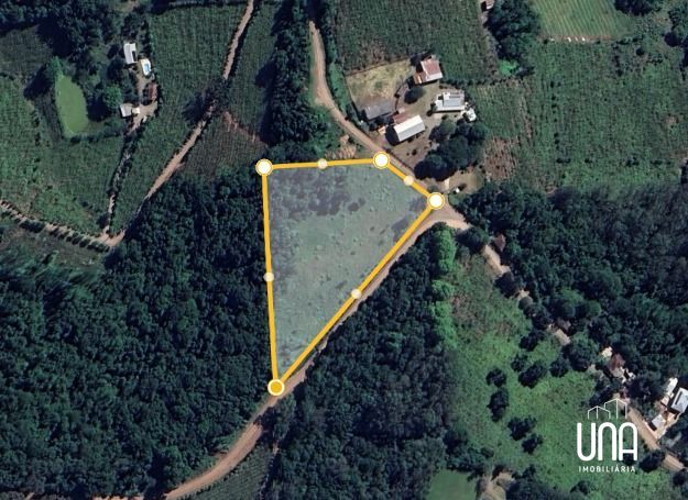 Chácara, 10000 m² - Foto 7