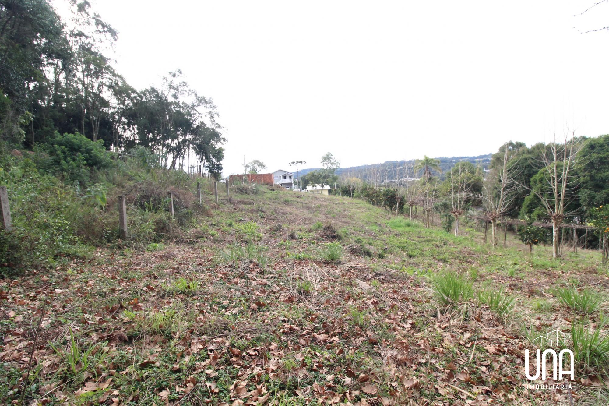 Terreno, 1155 m² - Foto 5