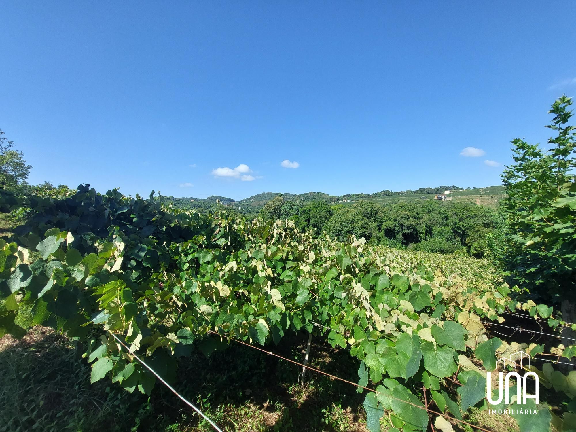 Chácara, 2 hectares - Foto 2
