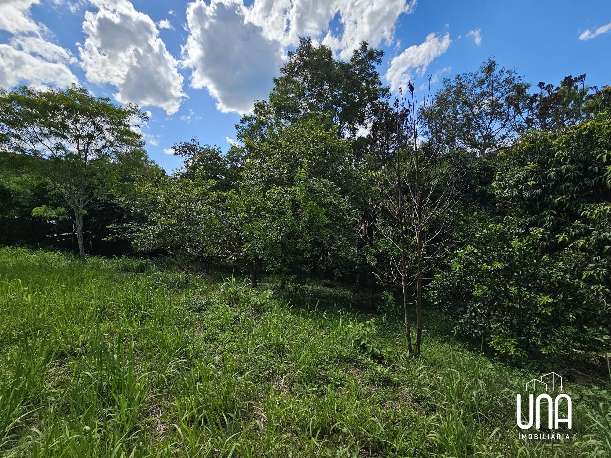 Terreno, 1340 m² - Foto 4