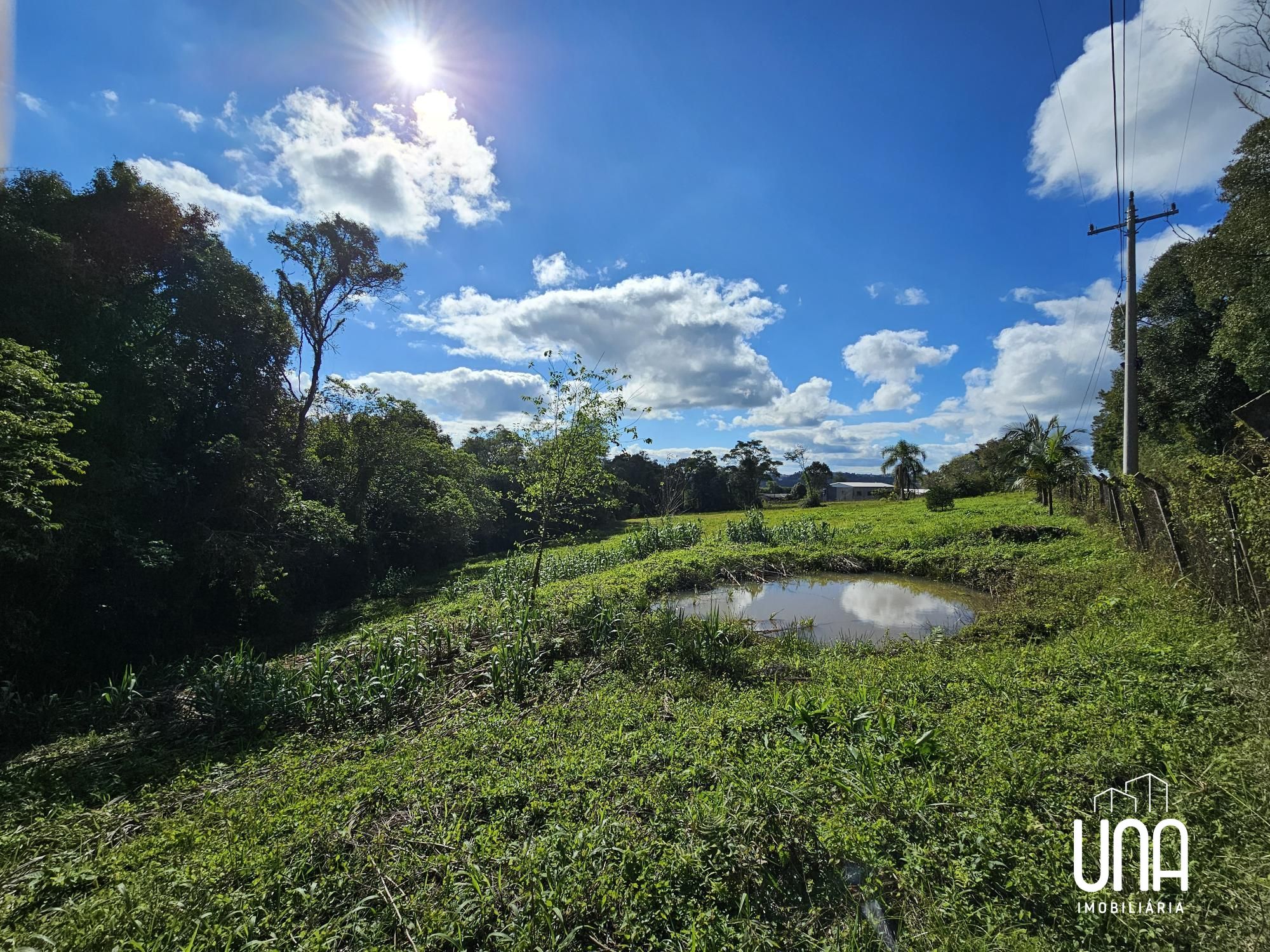 Chácara, 10000 m² - Foto 6