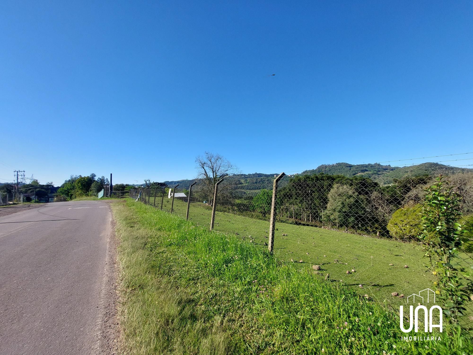 Terreno, 24 hectares - Foto 4