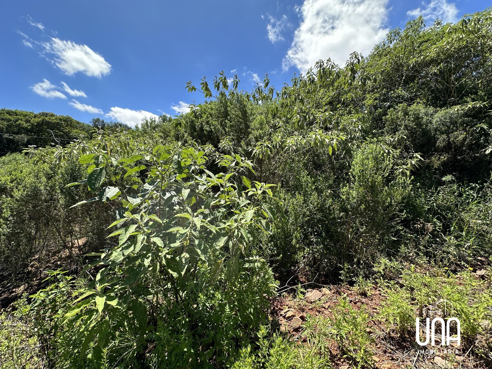 Terreno, 420 m² - Foto 4