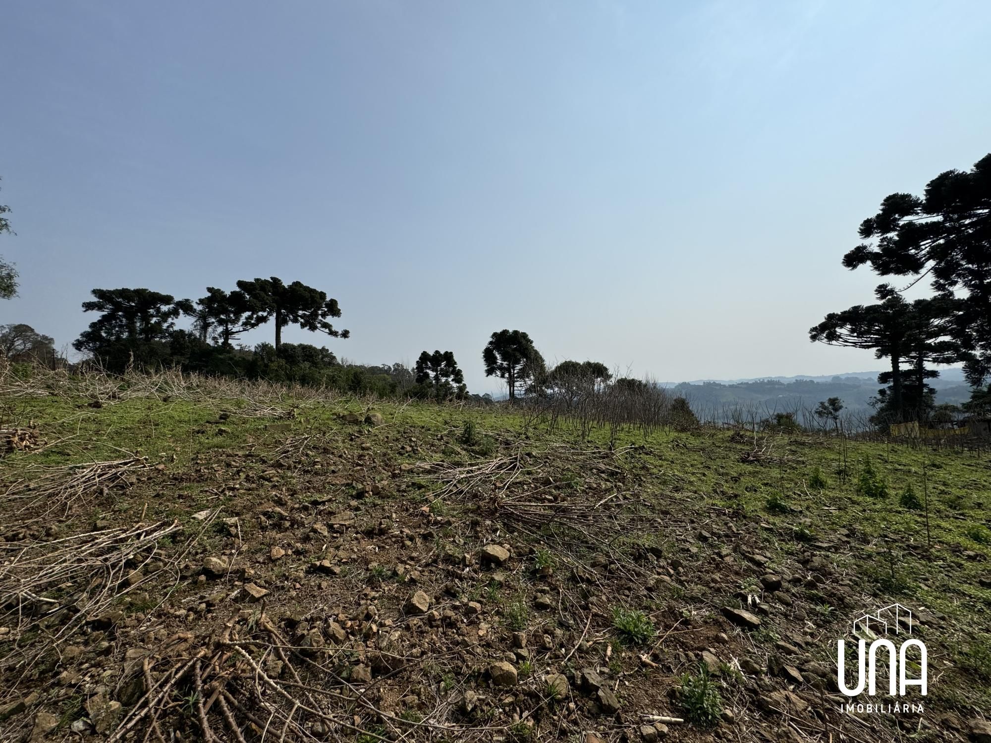 Terreno, 525 m² - Foto 3