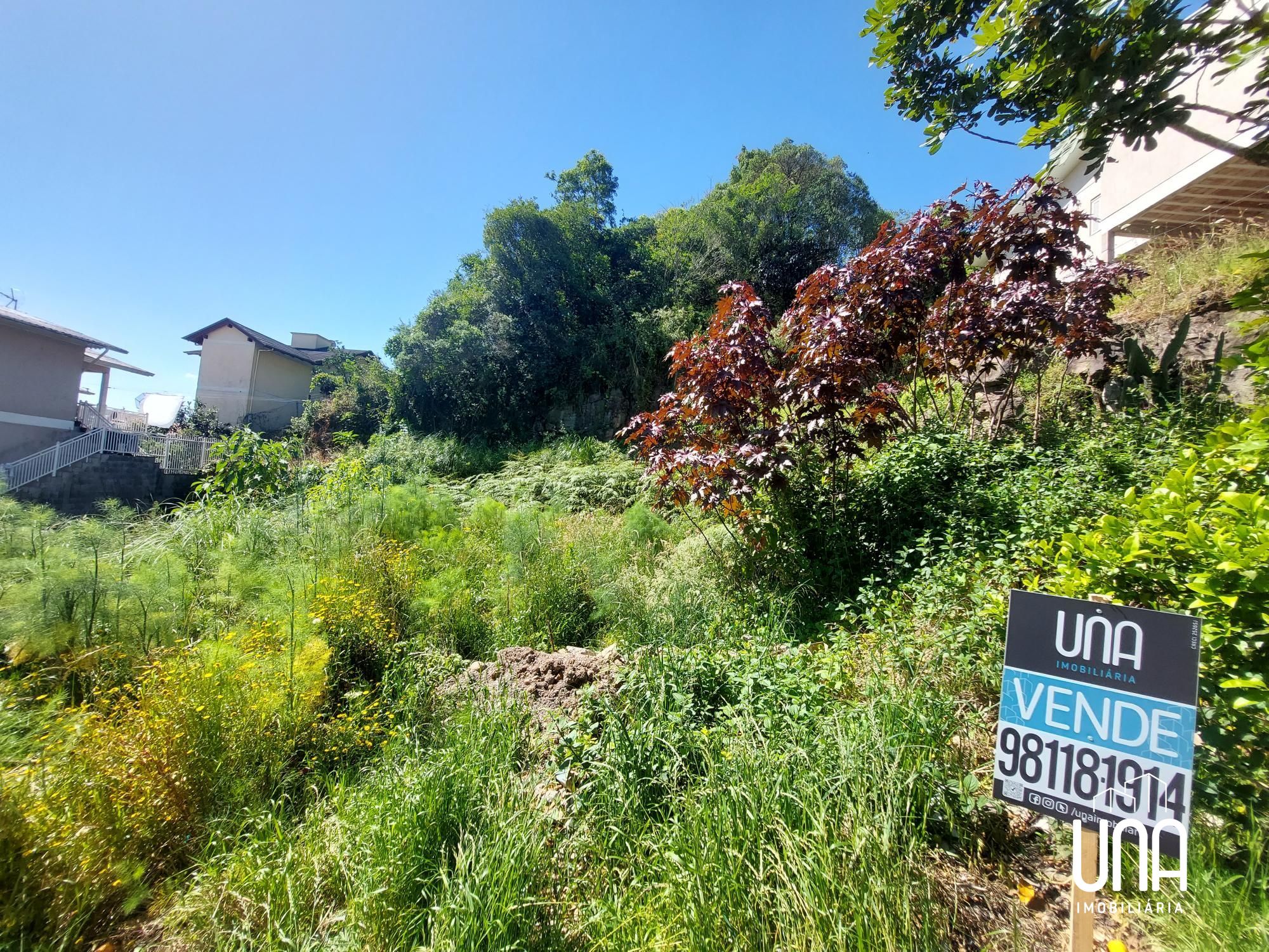 Terreno, 603 m² - Foto 2