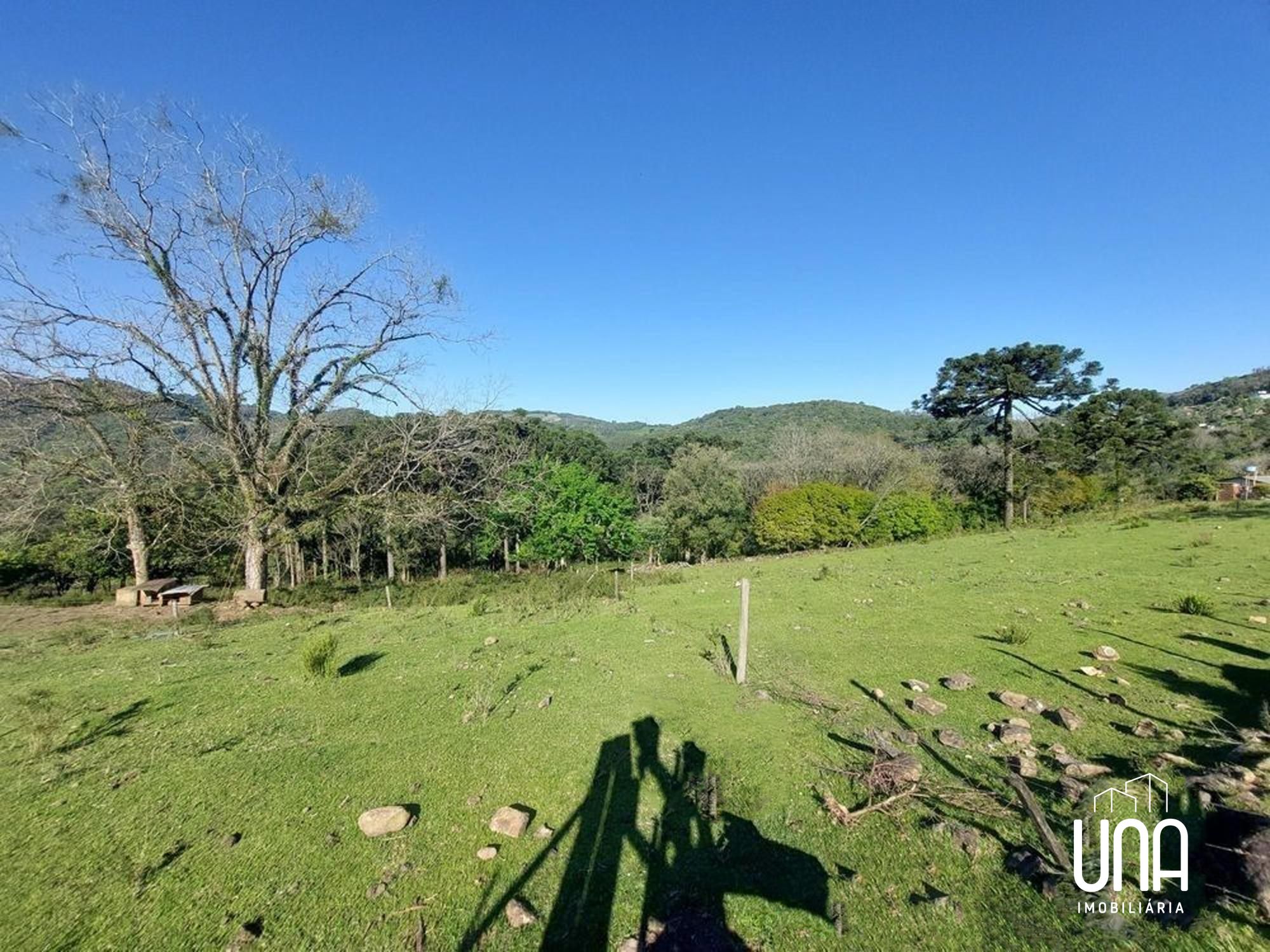 Terreno, 24 hectares - Foto 8