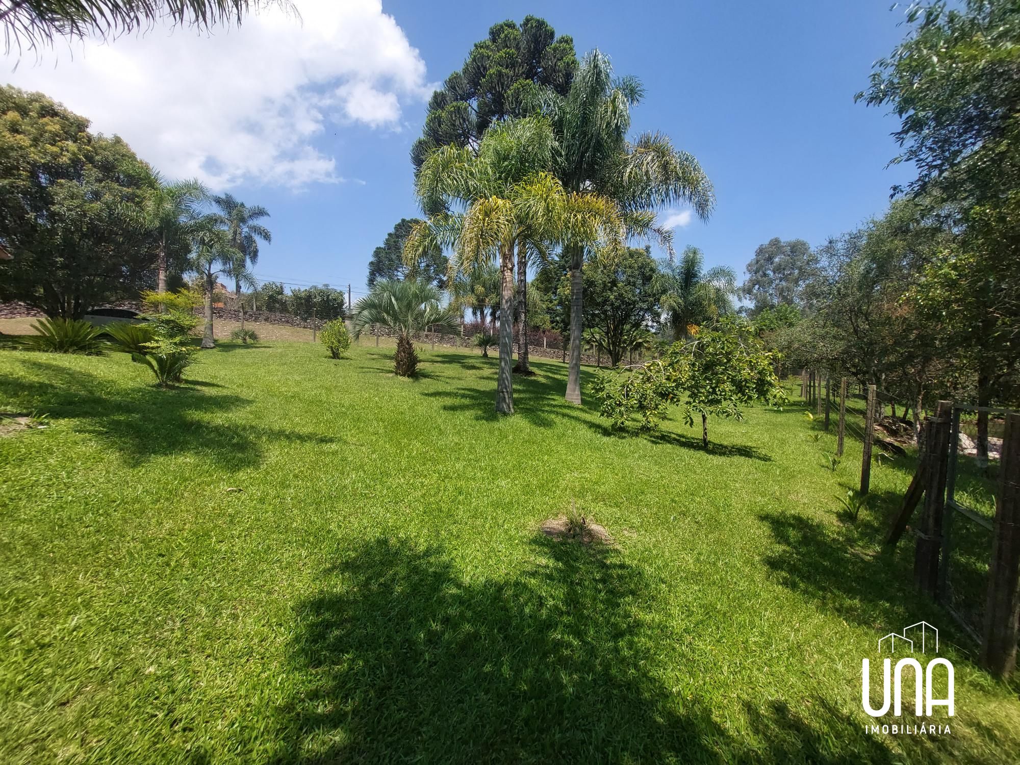 Chácara, 2 quartos, 2 hectares - Foto 8