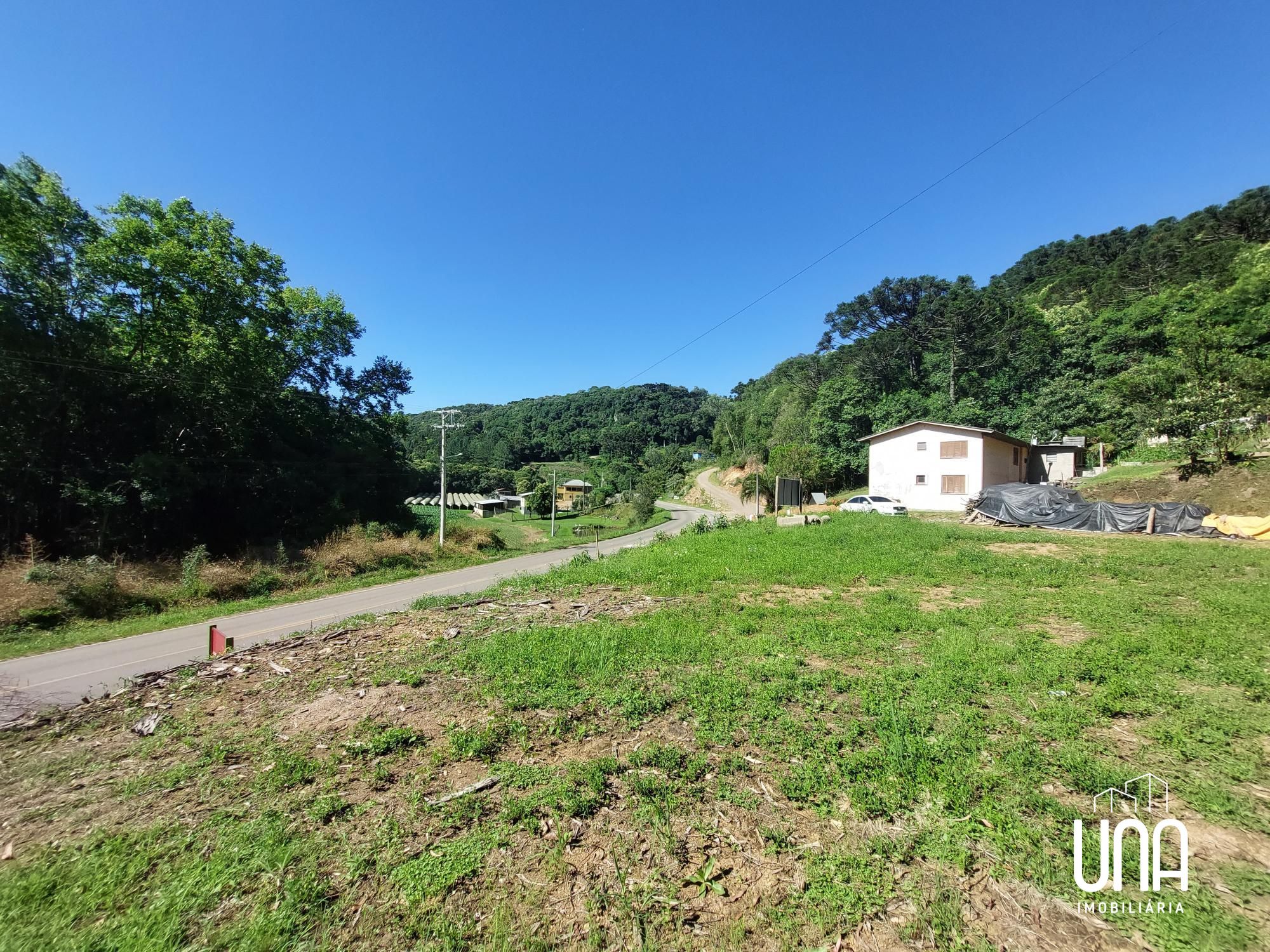 Chácara, 4 hectares - Foto 3