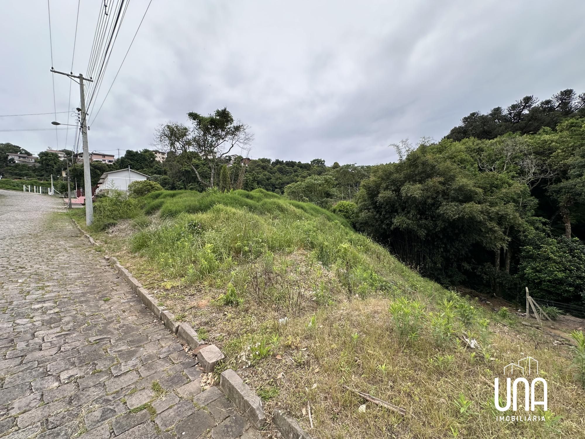 Terreno, 393 m² - Foto 3