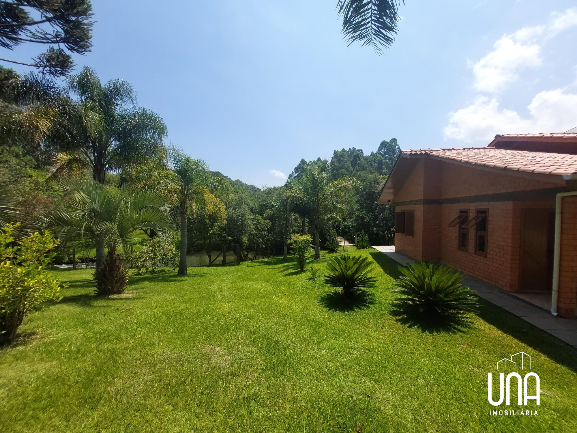 Chácara, 2 quartos, 2 hectares - Foto 4