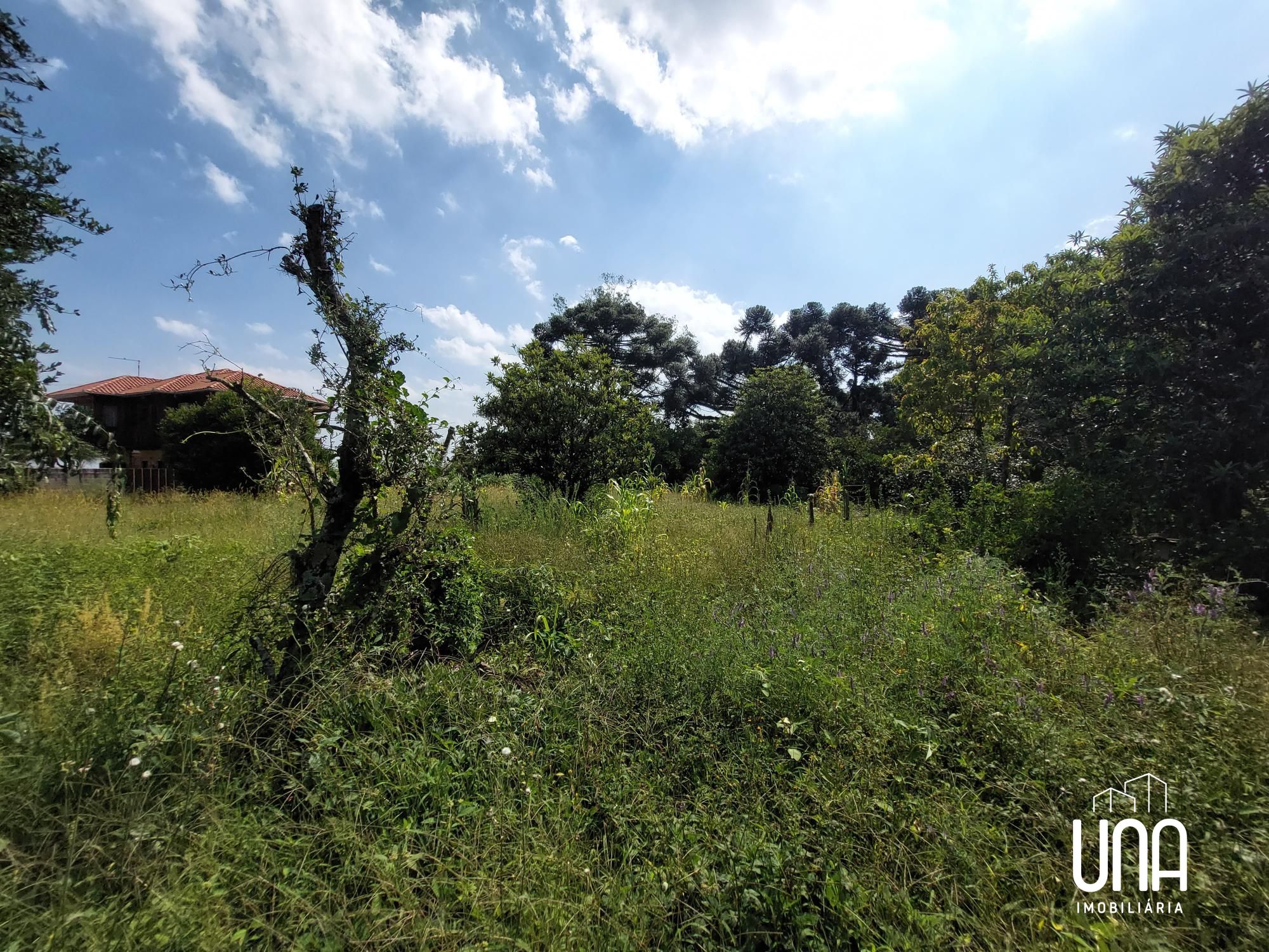Terreno, 6645 m² - Foto 13