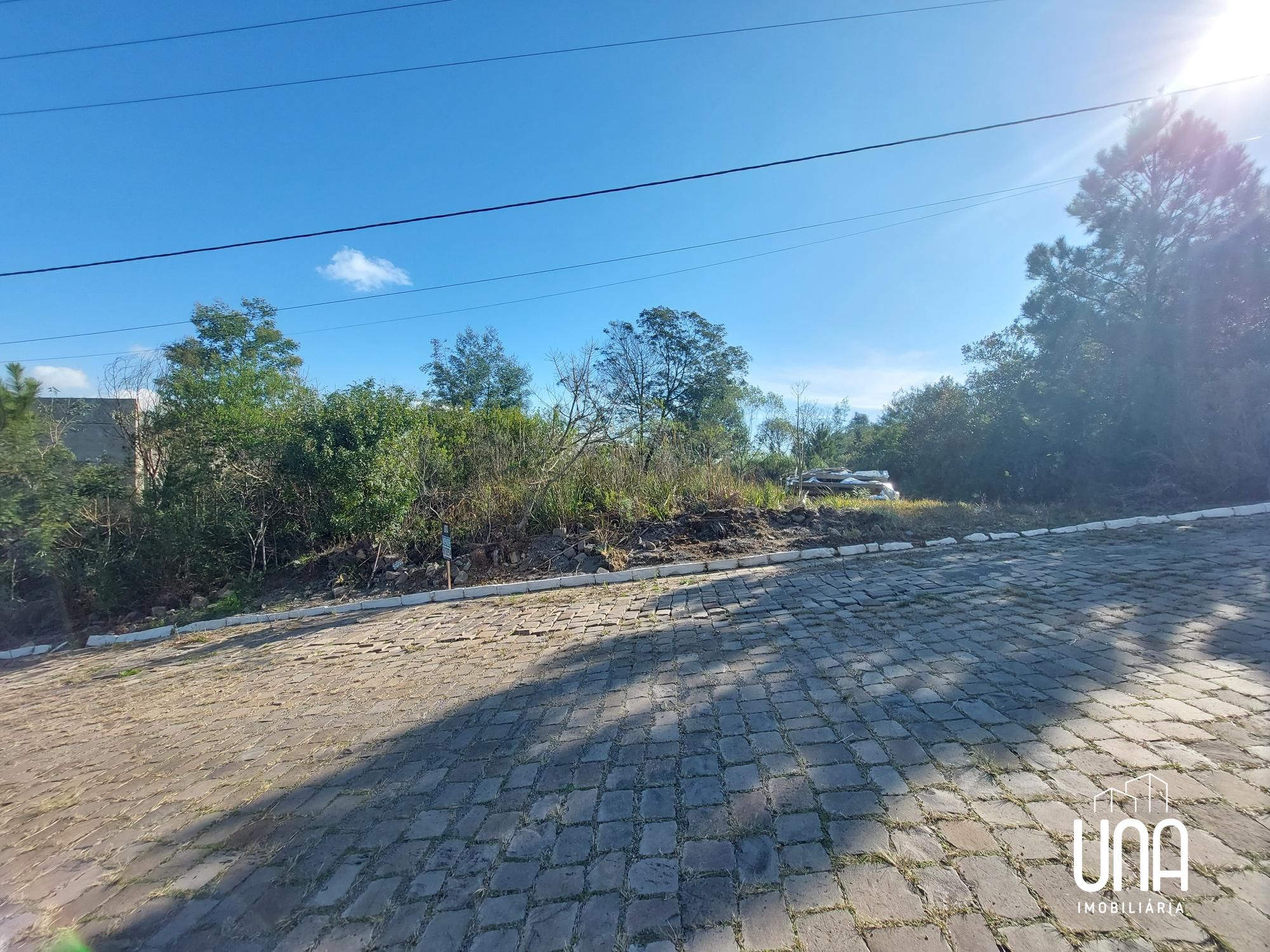Terreno, 2729 m² - Foto 1