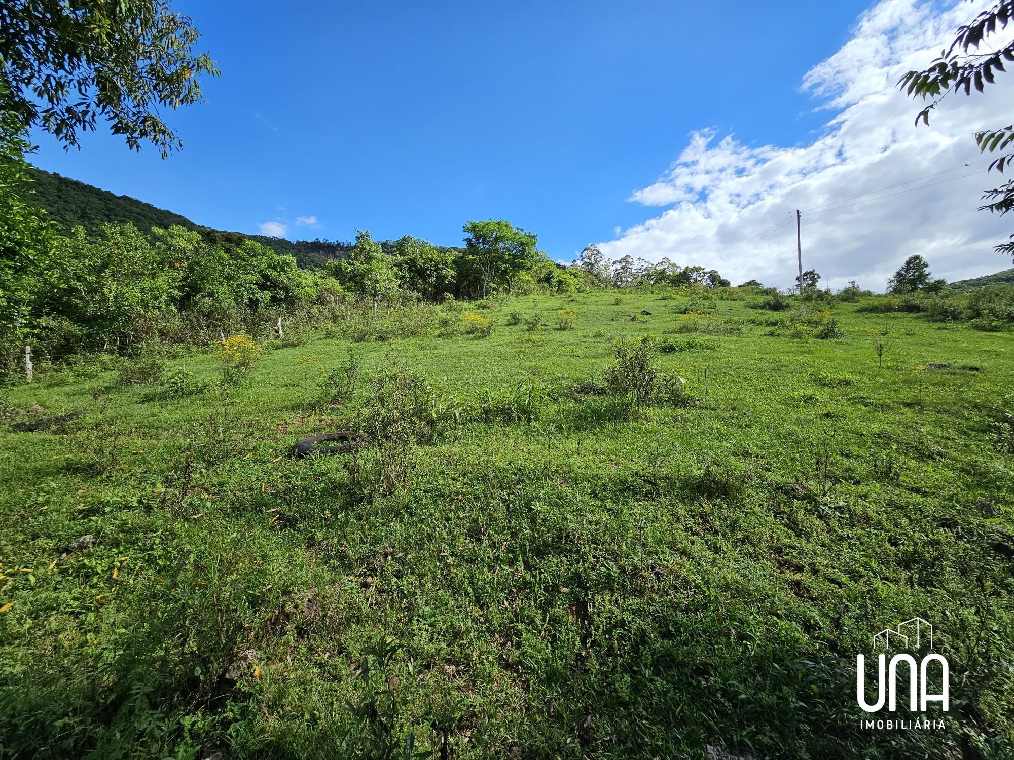Chácara, 21 hectares - Foto 11