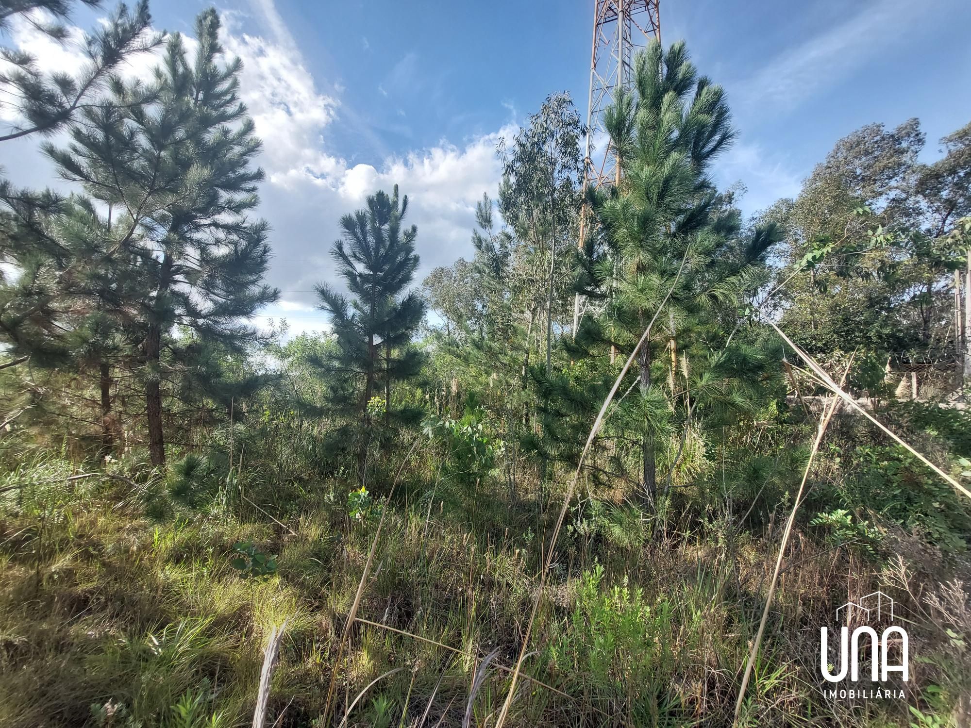 Terreno, 2516 m² - Foto 4