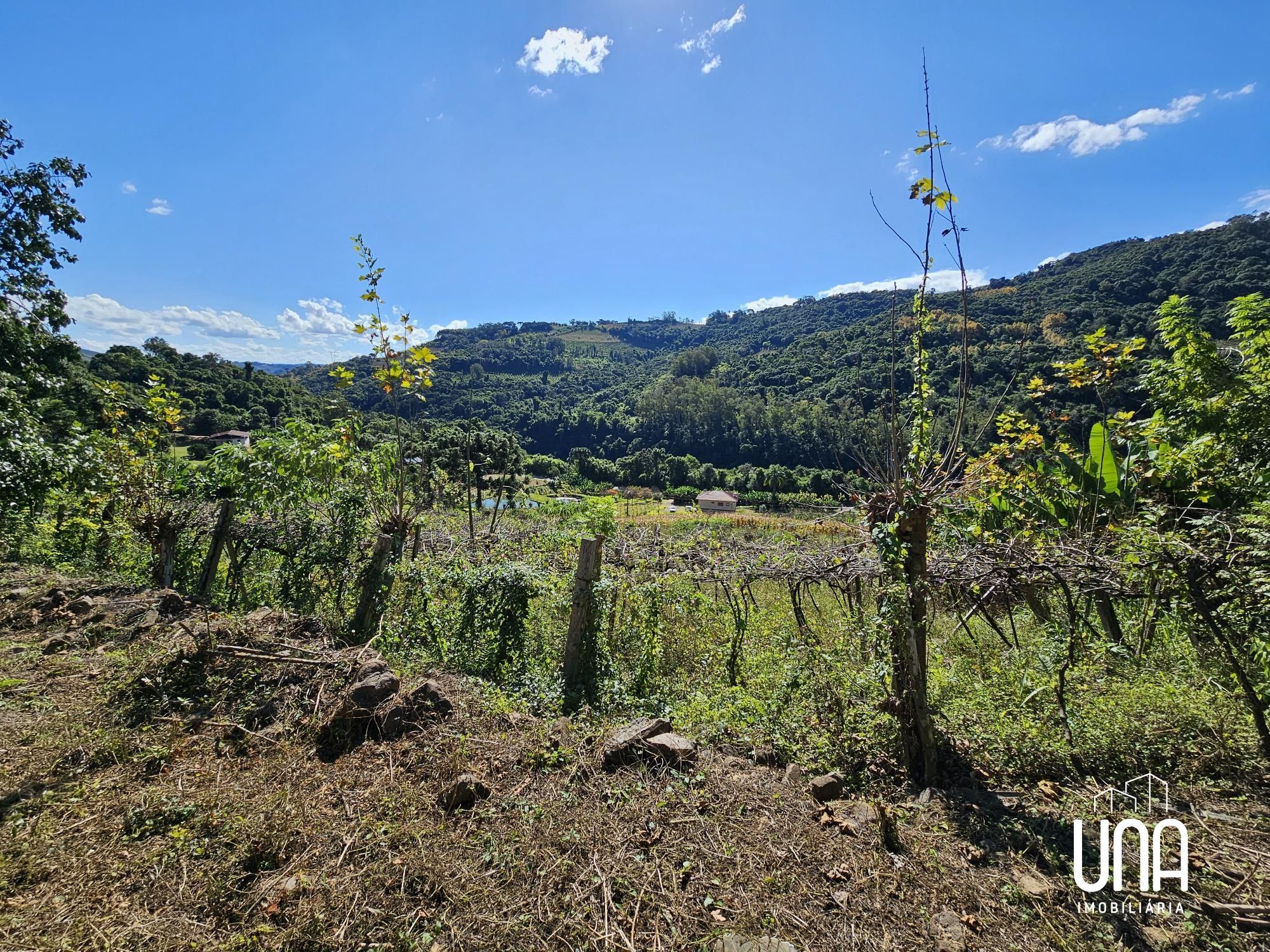 Sítio, 8900 m² - Foto 1