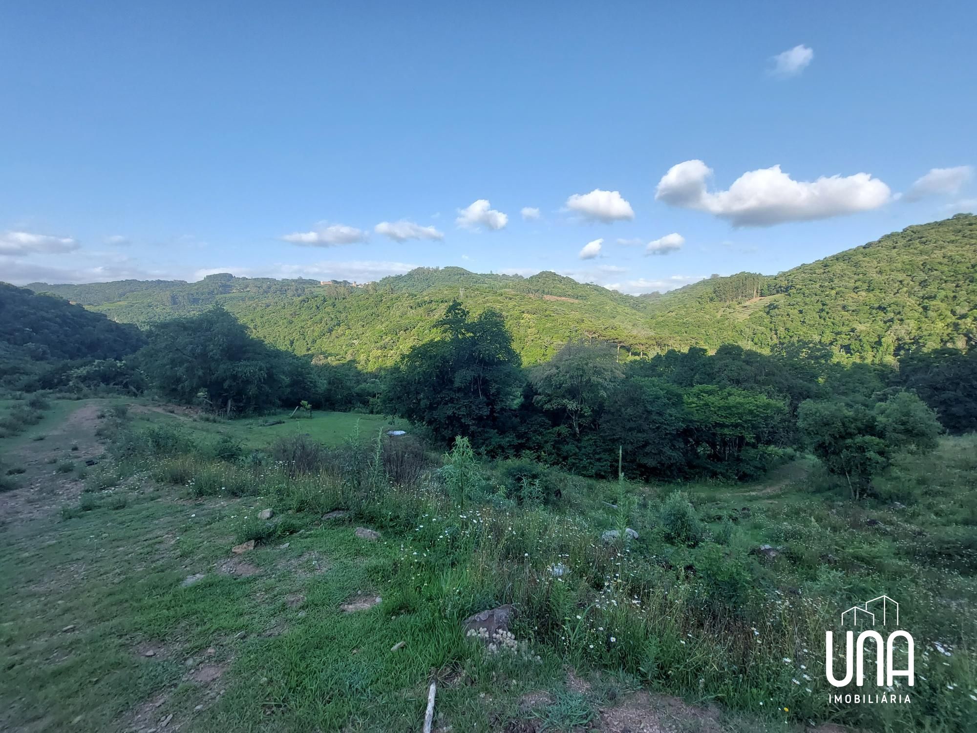 Chácara, 4 hectares - Foto 4