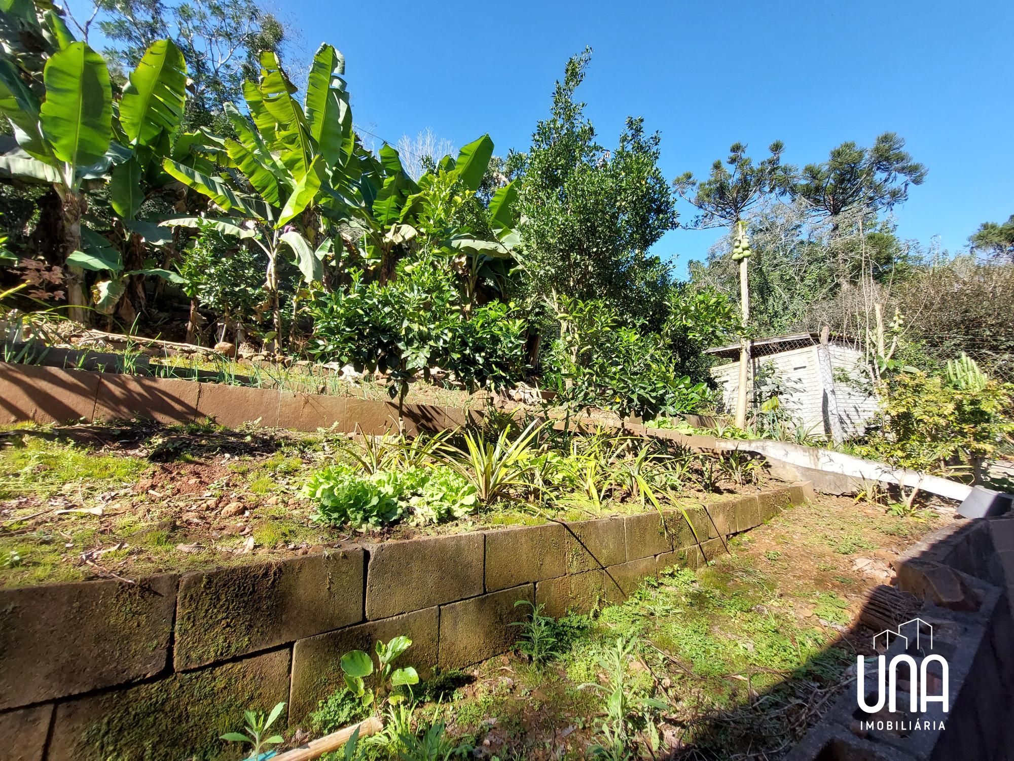 Chácara, 3 quartos, 600 m² - Foto 12