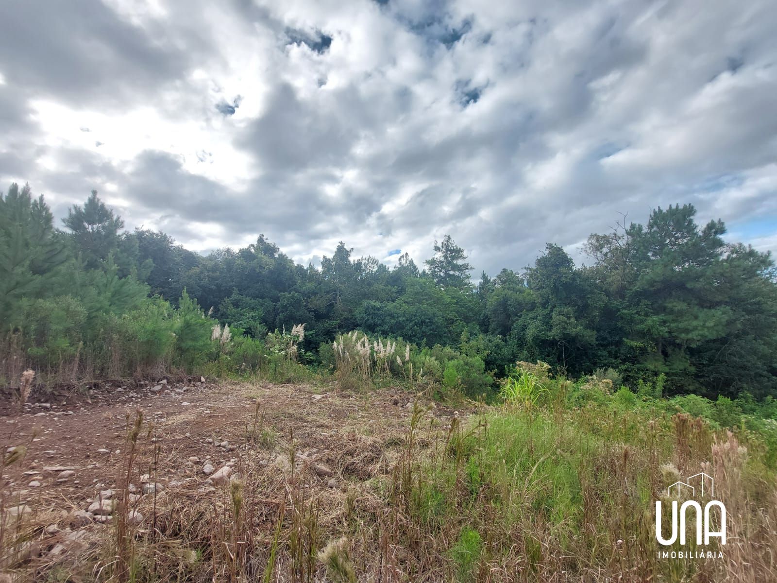 Terreno, 263 m² - Foto 4