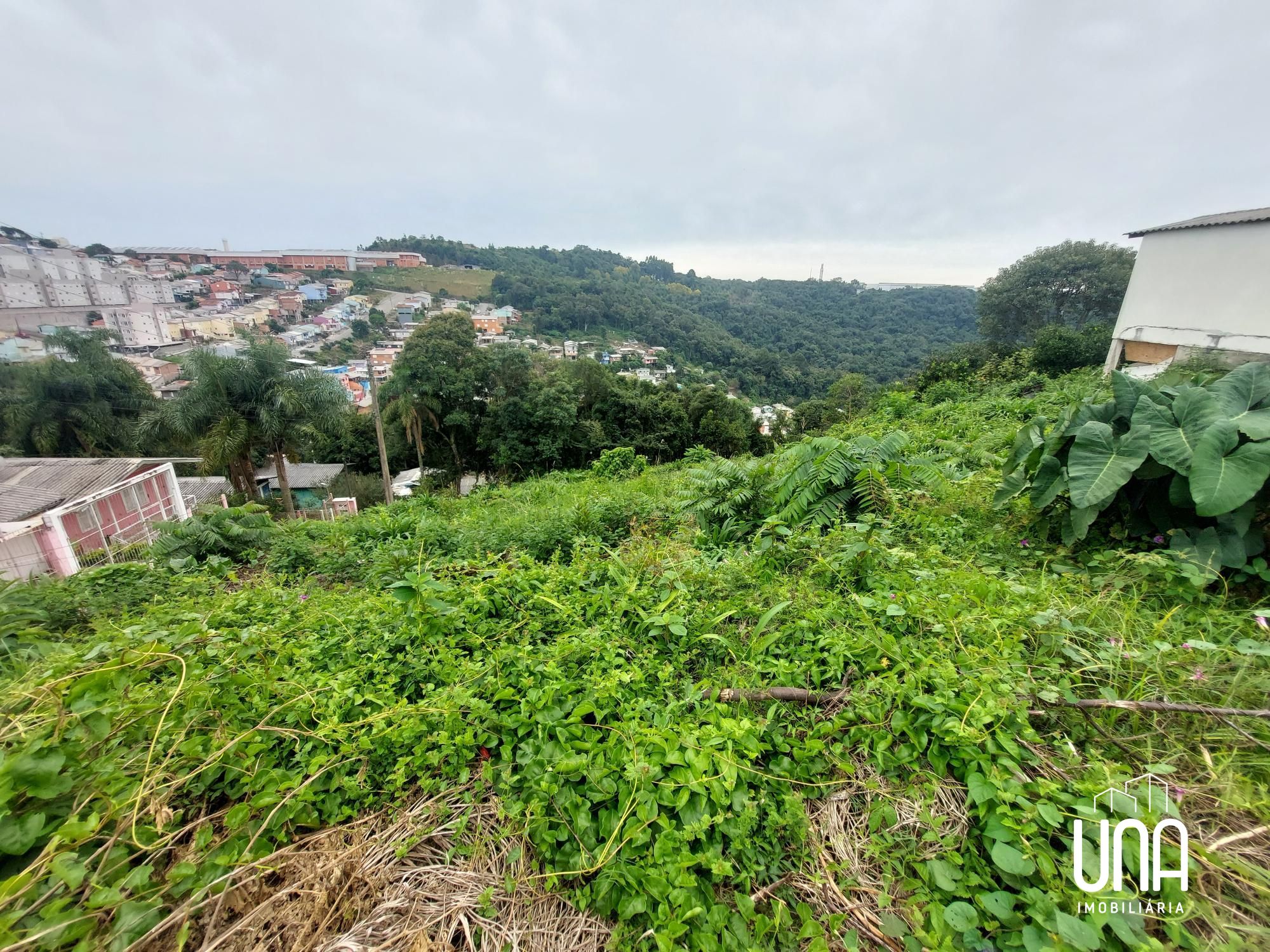 Terreno, 1660 m² - Foto 6