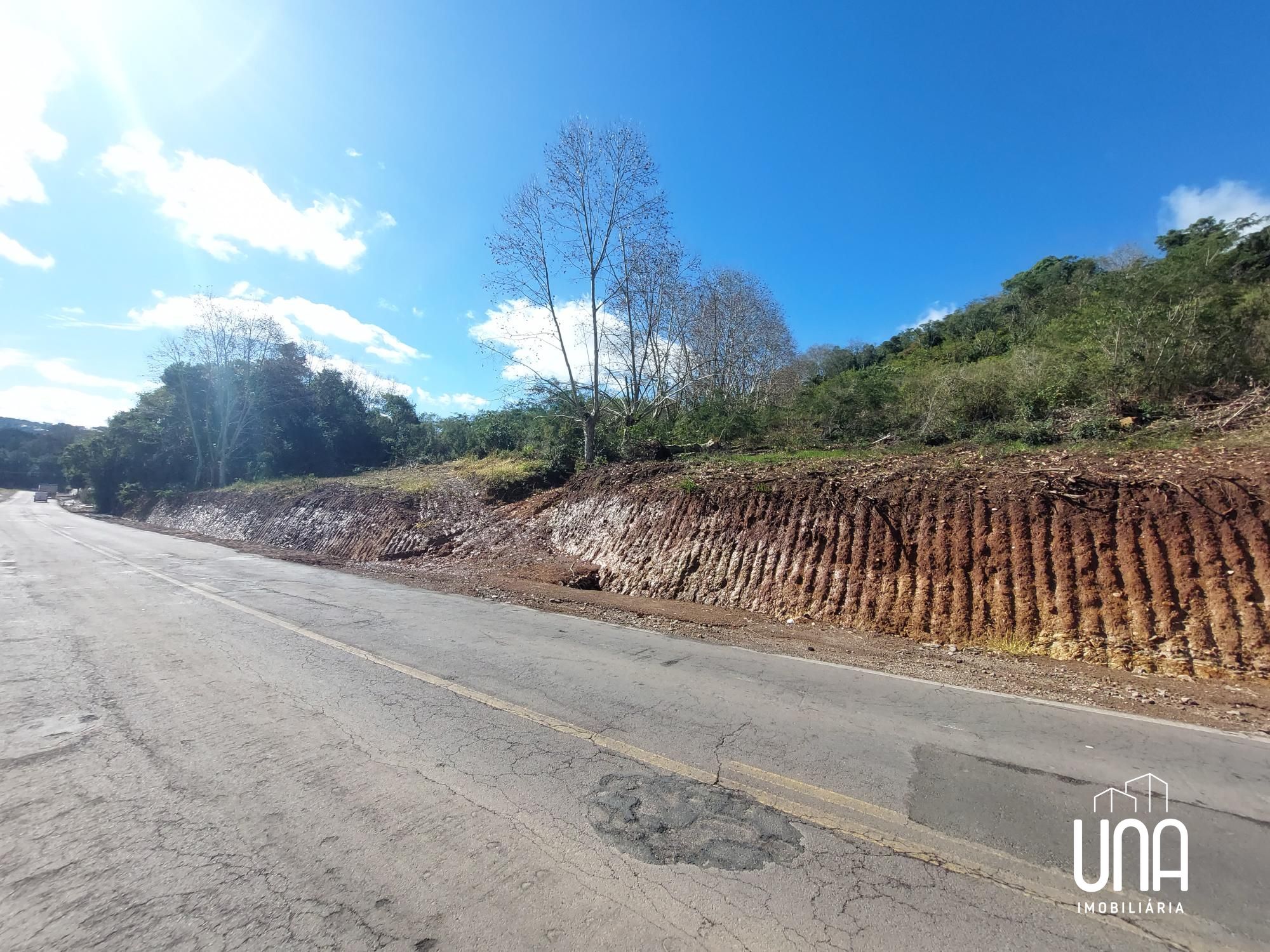 Terreno, 14 hectares - Foto 3