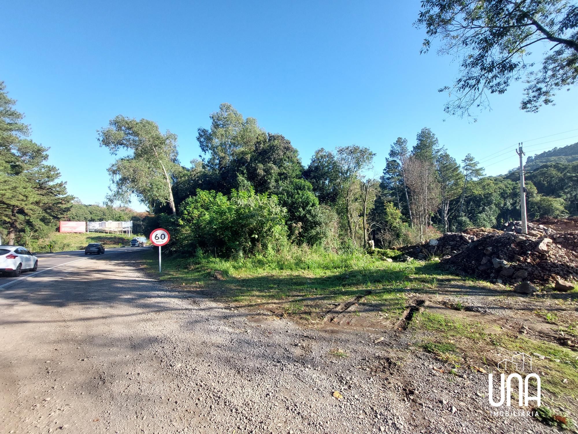 Terreno, 3 hectares - Foto 4