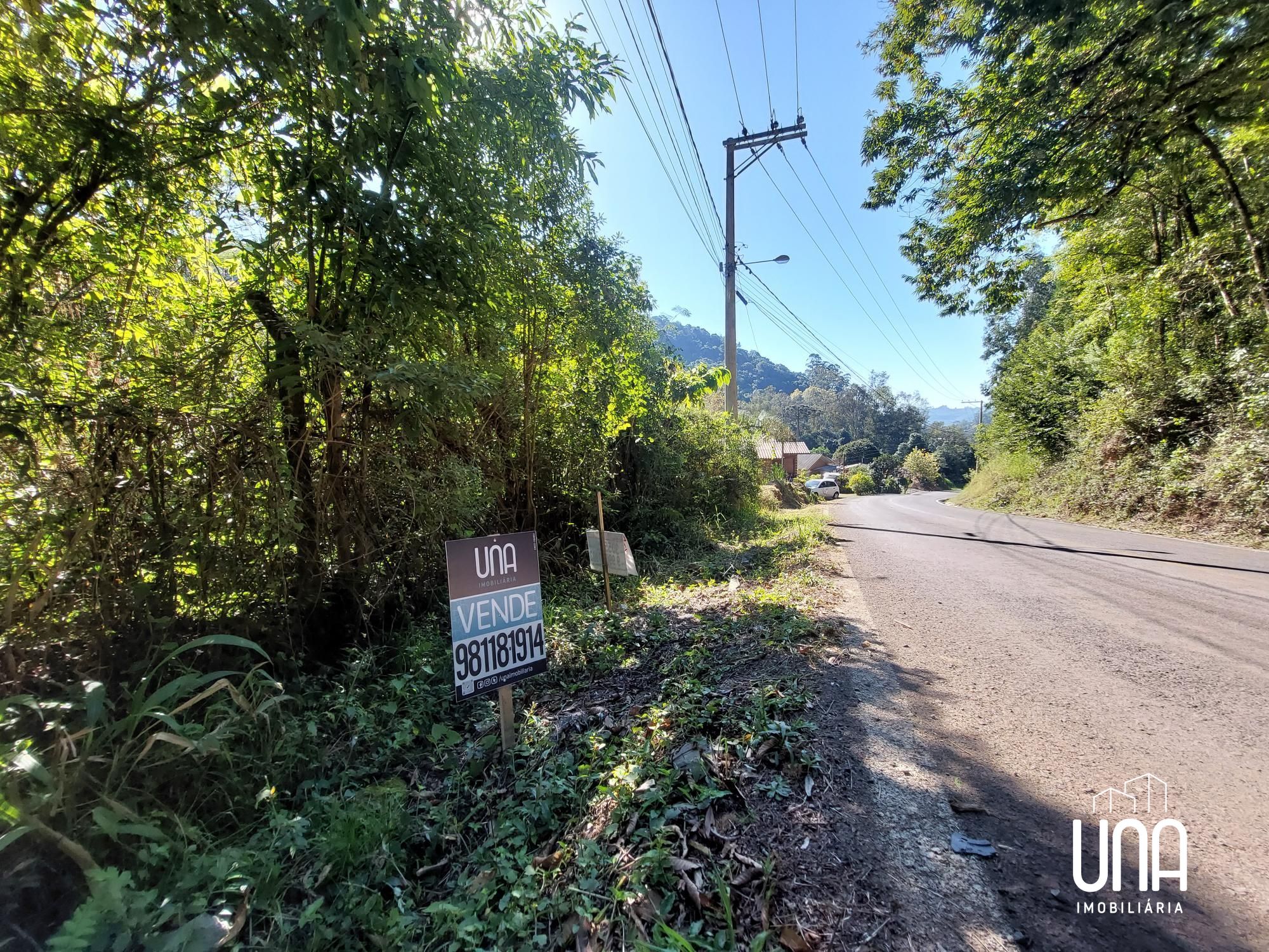 Terreno, 62 hectares - Foto 4