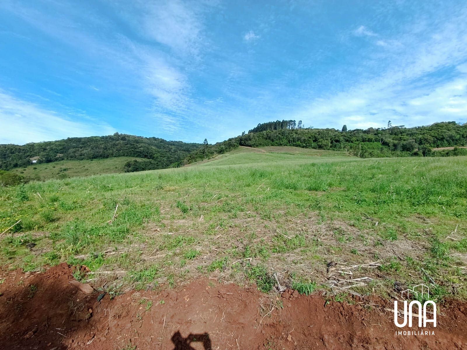 Sítio, 2 hectares - Foto 4