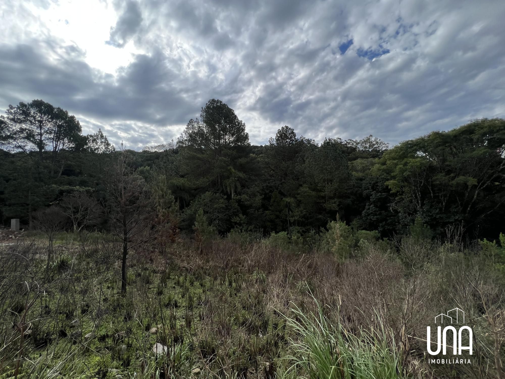 Terreno, 361 m² - Foto 4