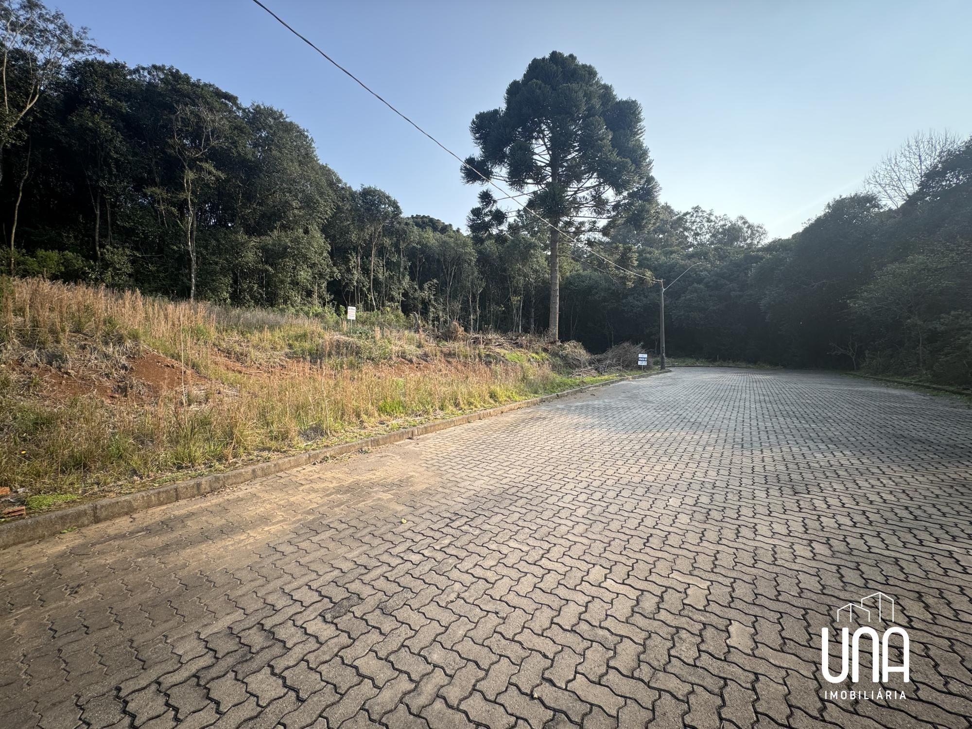 Terreno, 269 m² - Foto 1