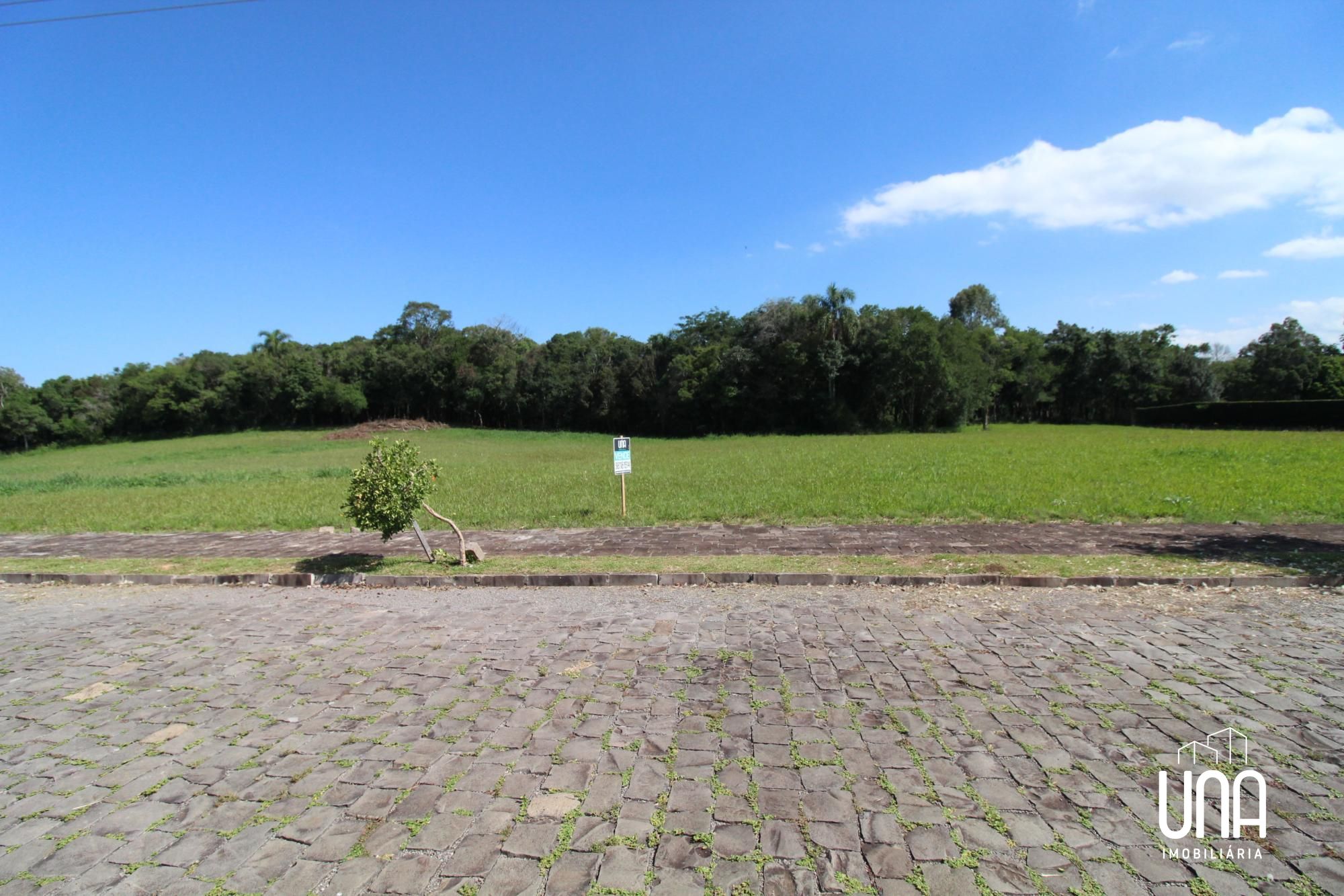 Terreno - Foto 2