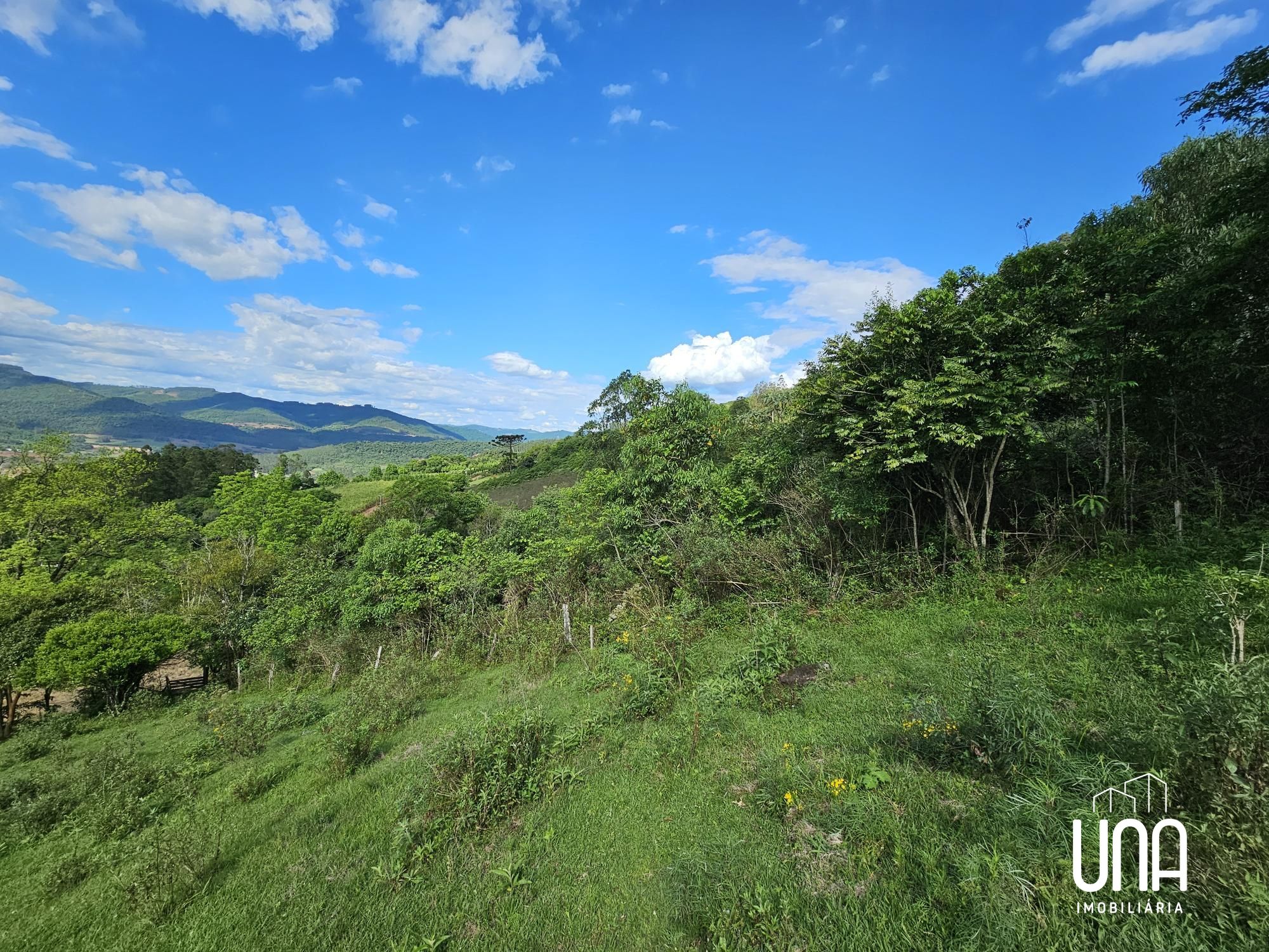 Chácara, 21 hectares - Foto 12