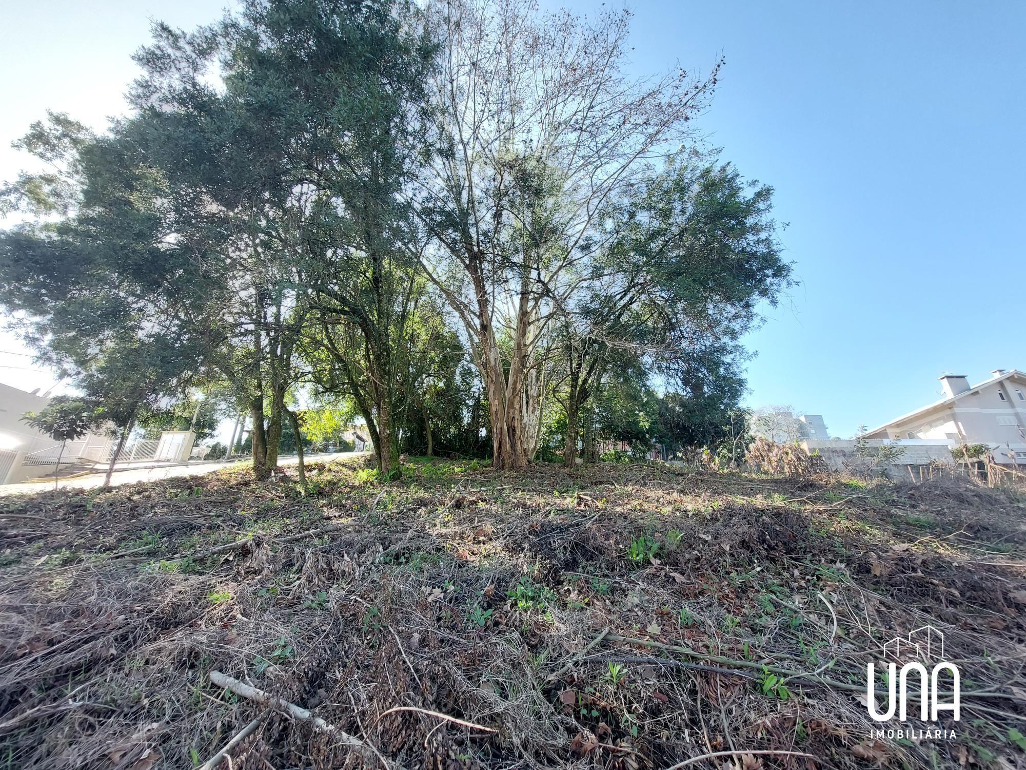 Terreno, 464 m² - Foto 1