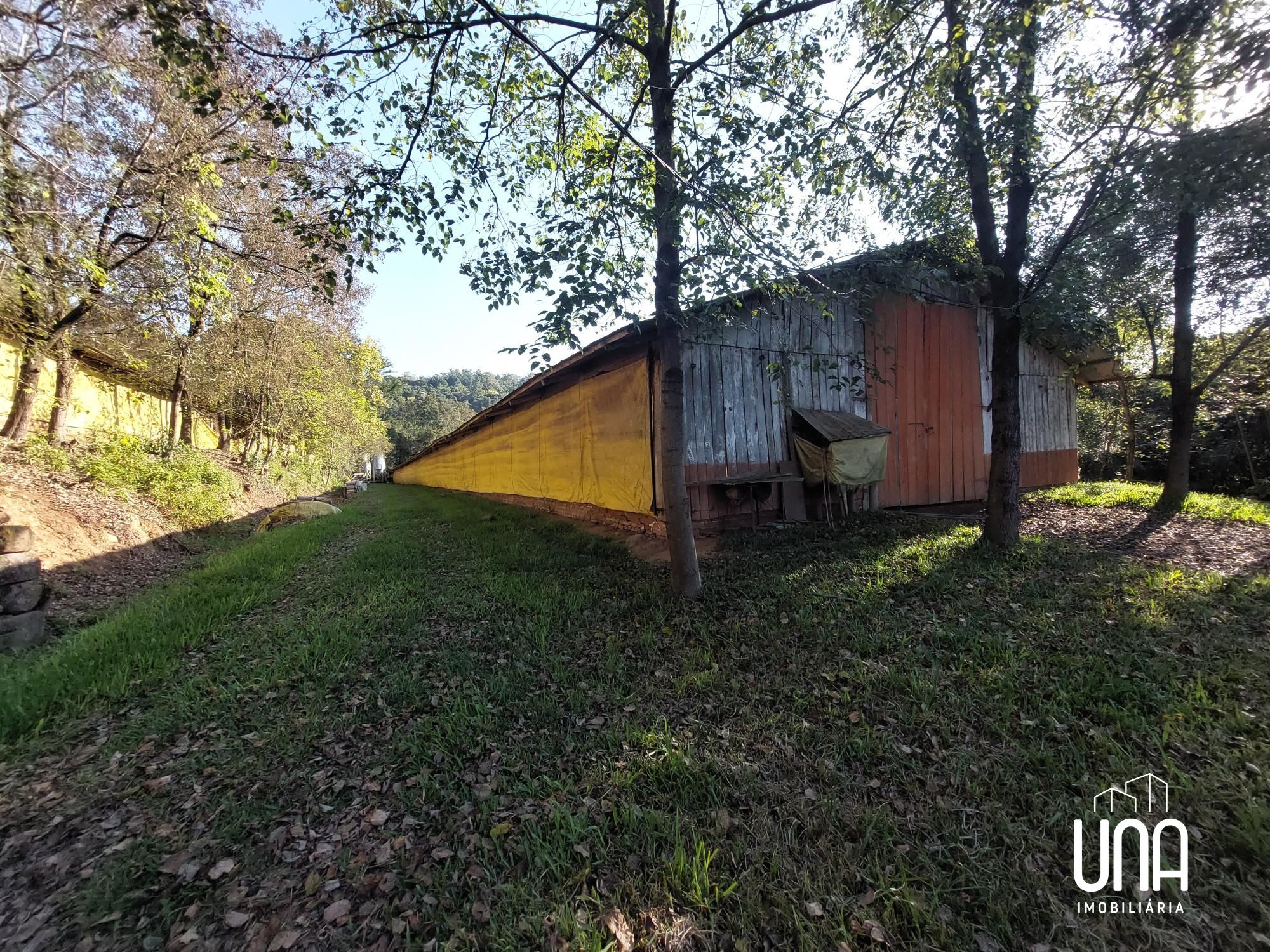 Chácara, 4 hectares - Foto 4