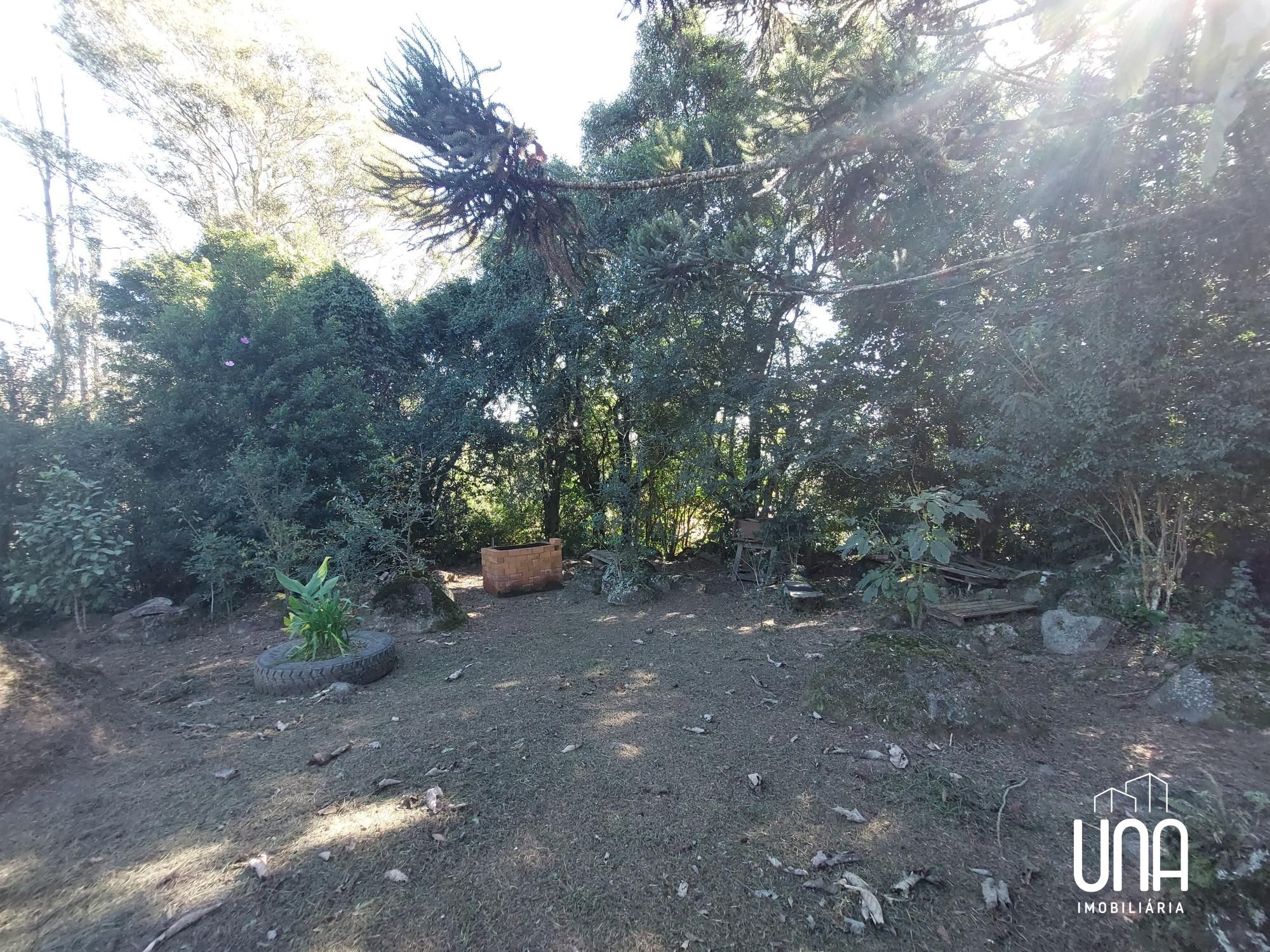 Chácara, 2 quartos, 9116 m² - Foto 26