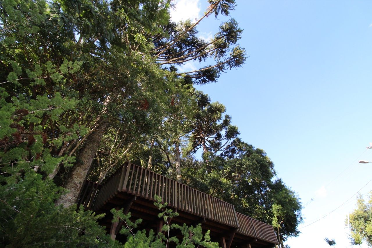 Terreno, 1955 m² - Foto 19